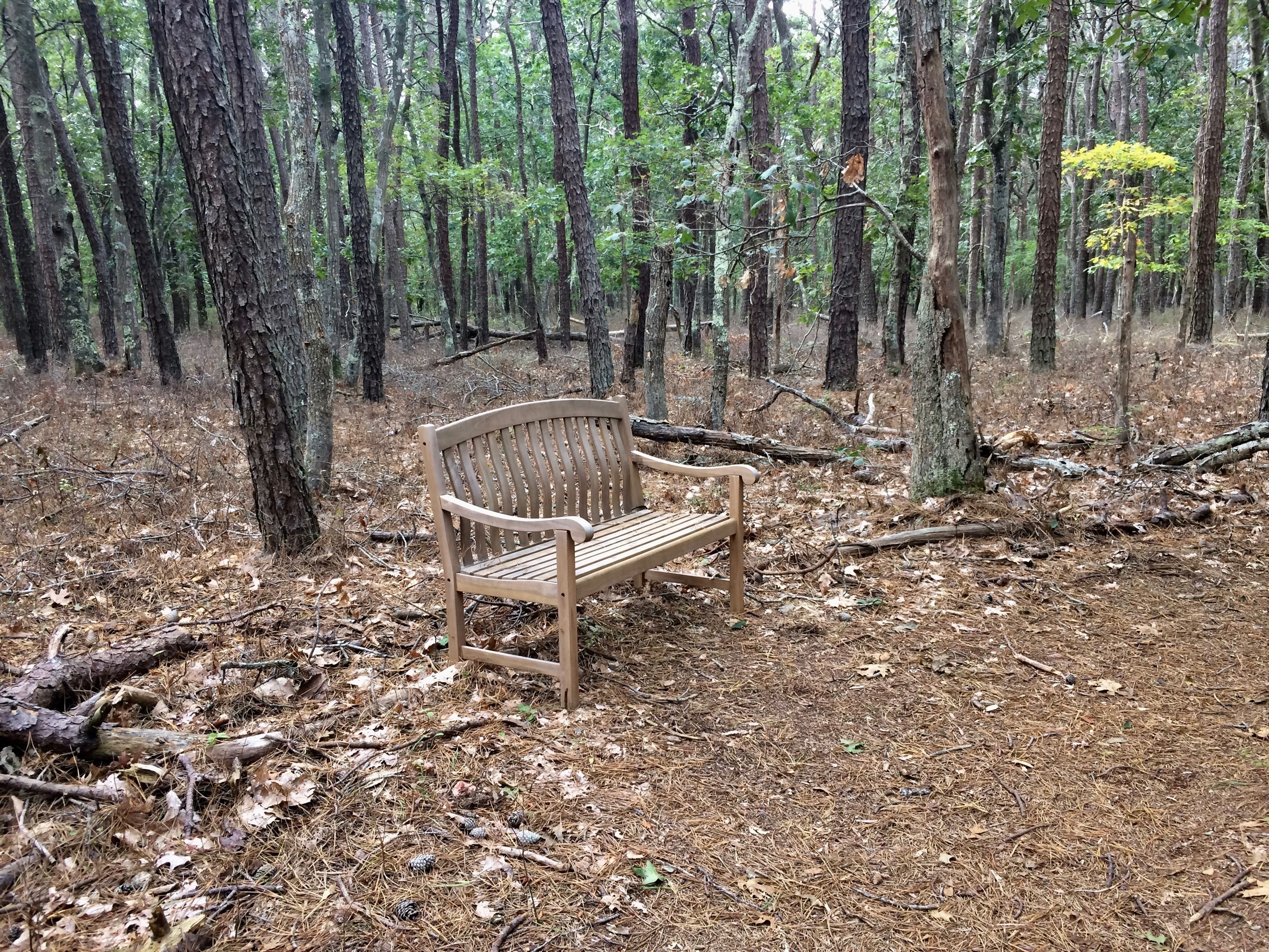 bench, green trail