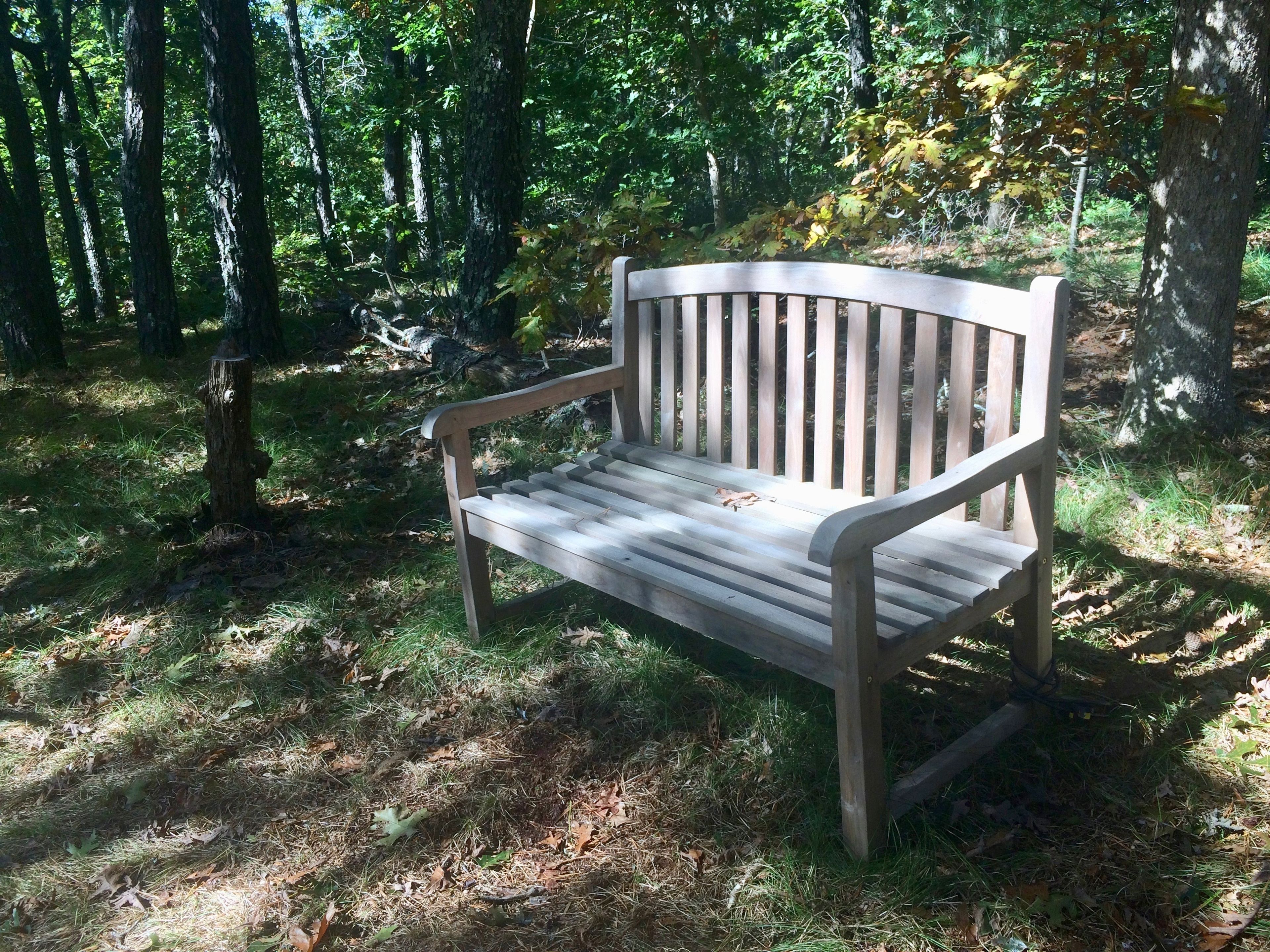 bench white trail