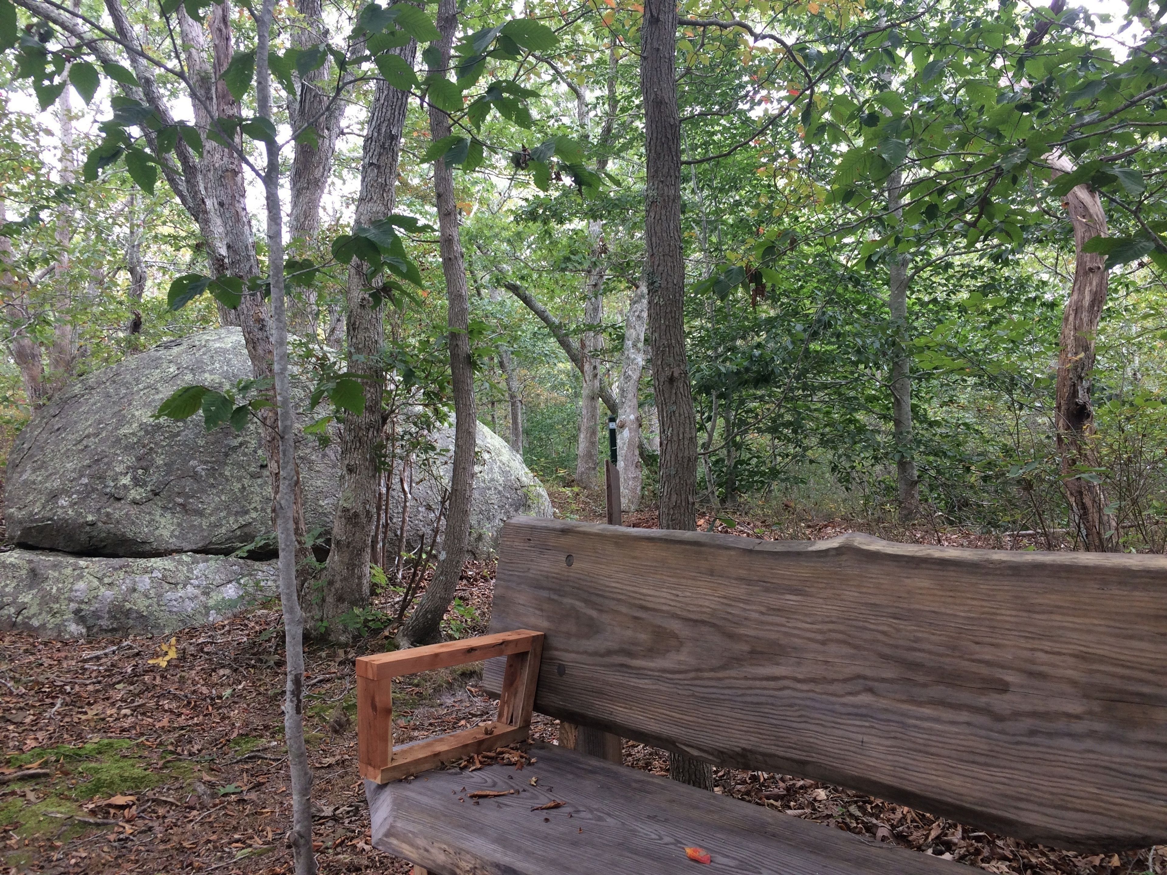 bench, red trail by erratic