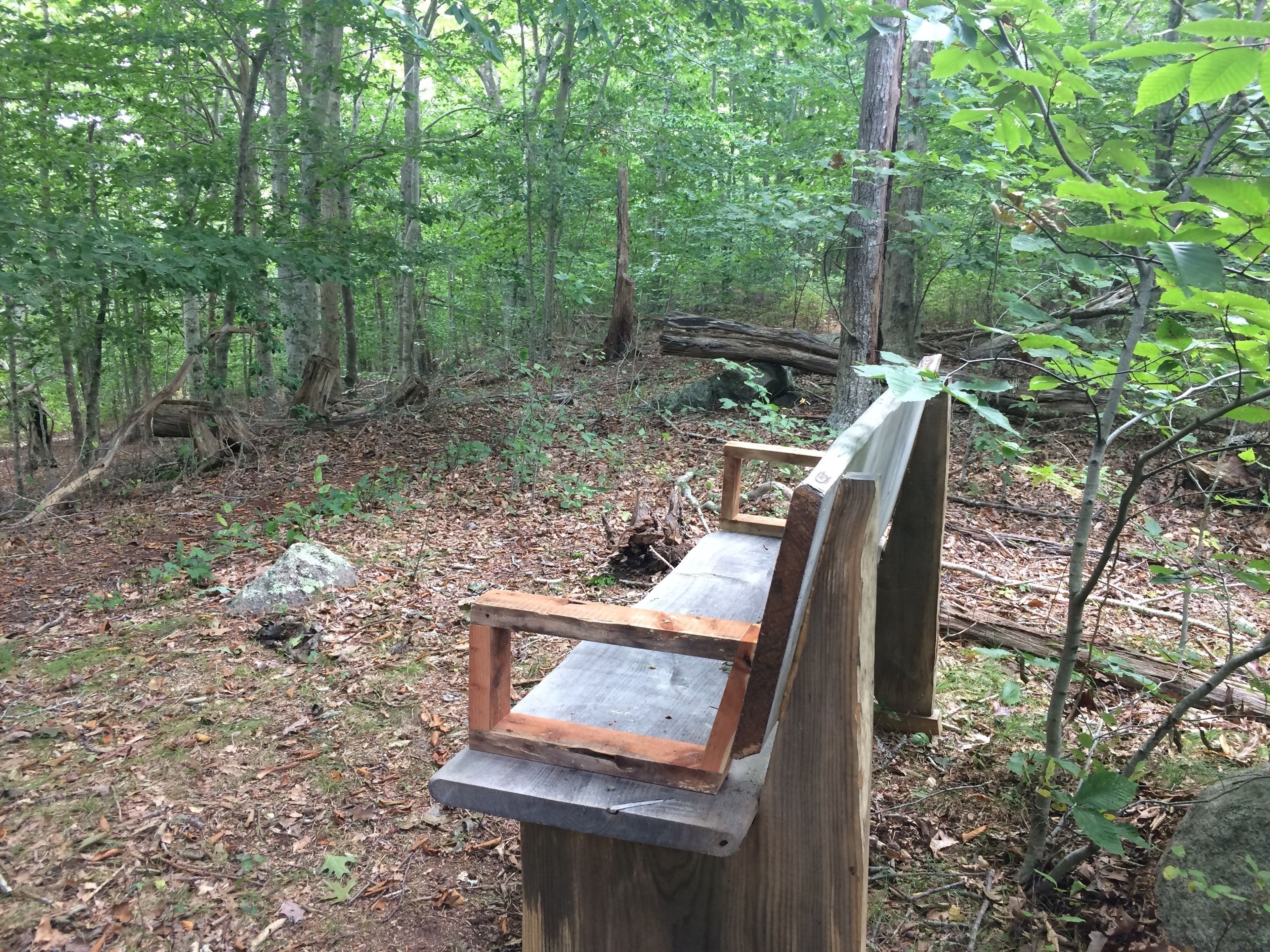 bench, yellow trail