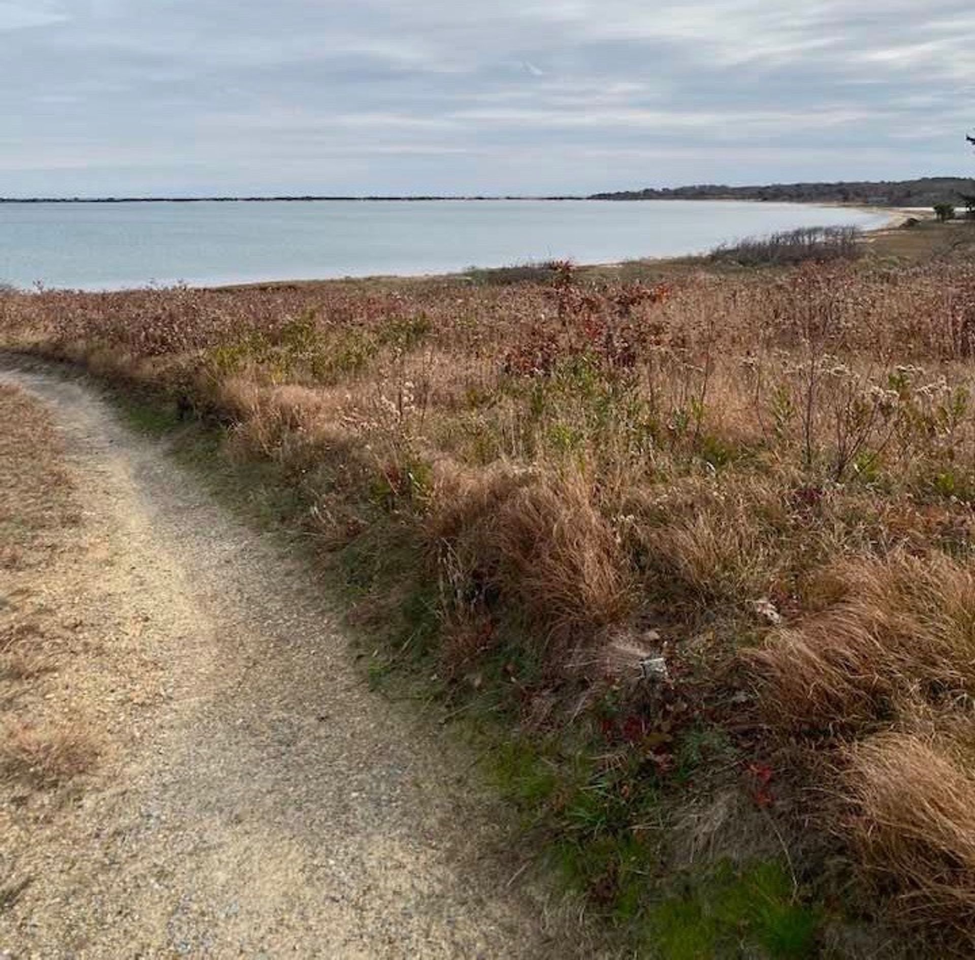 Road to beach in fall