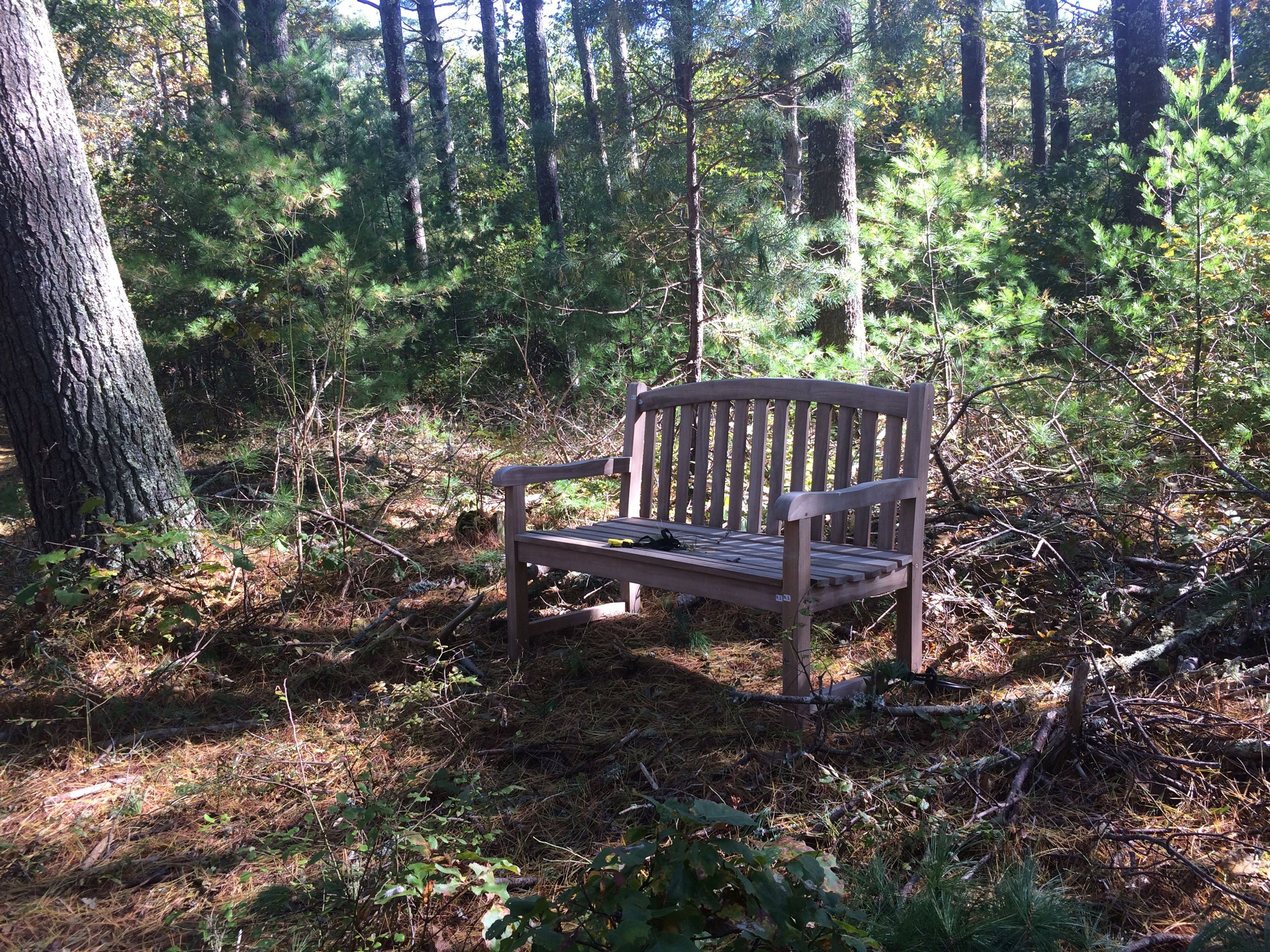 Red Trail bench