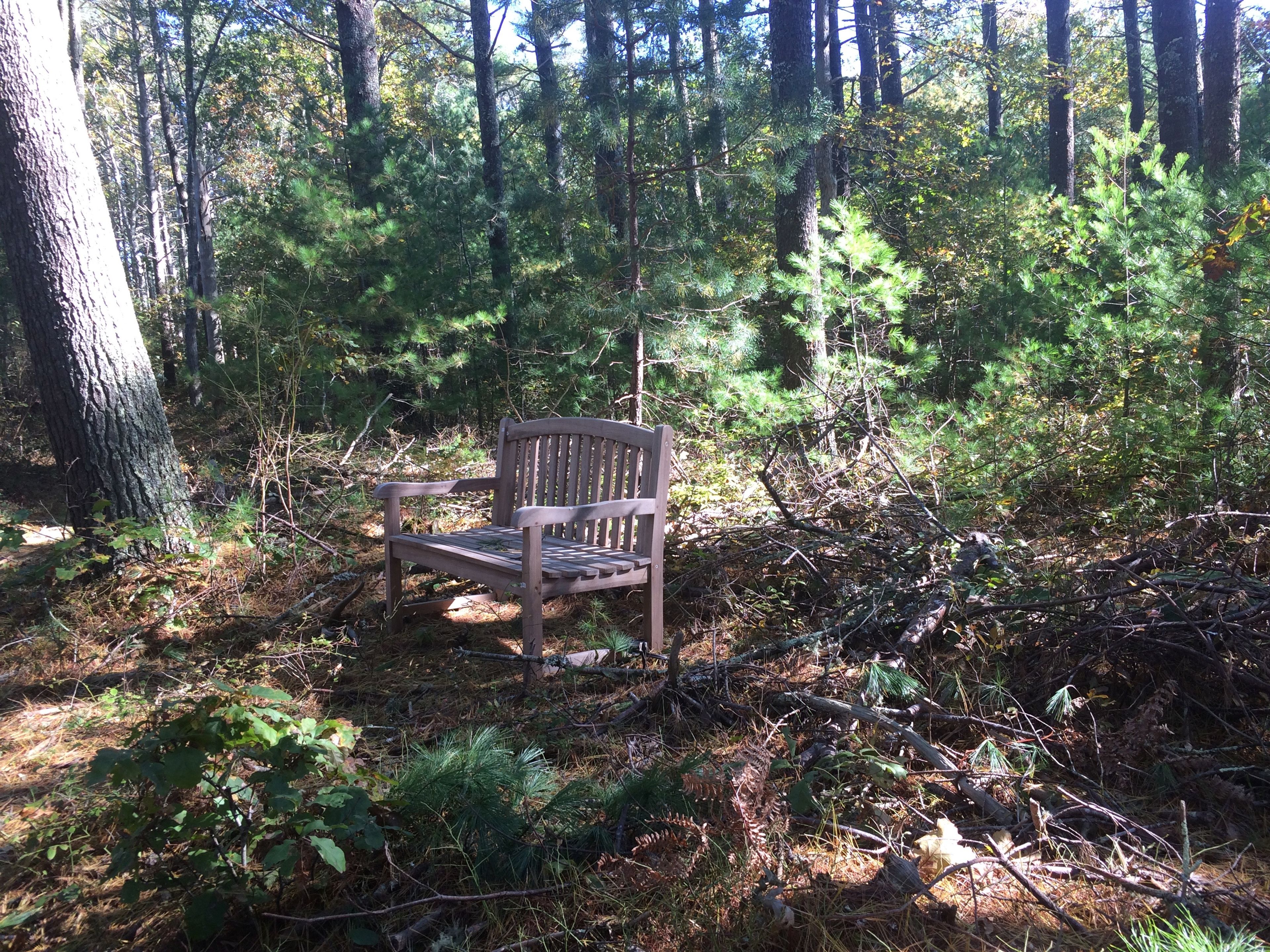 red trail bench