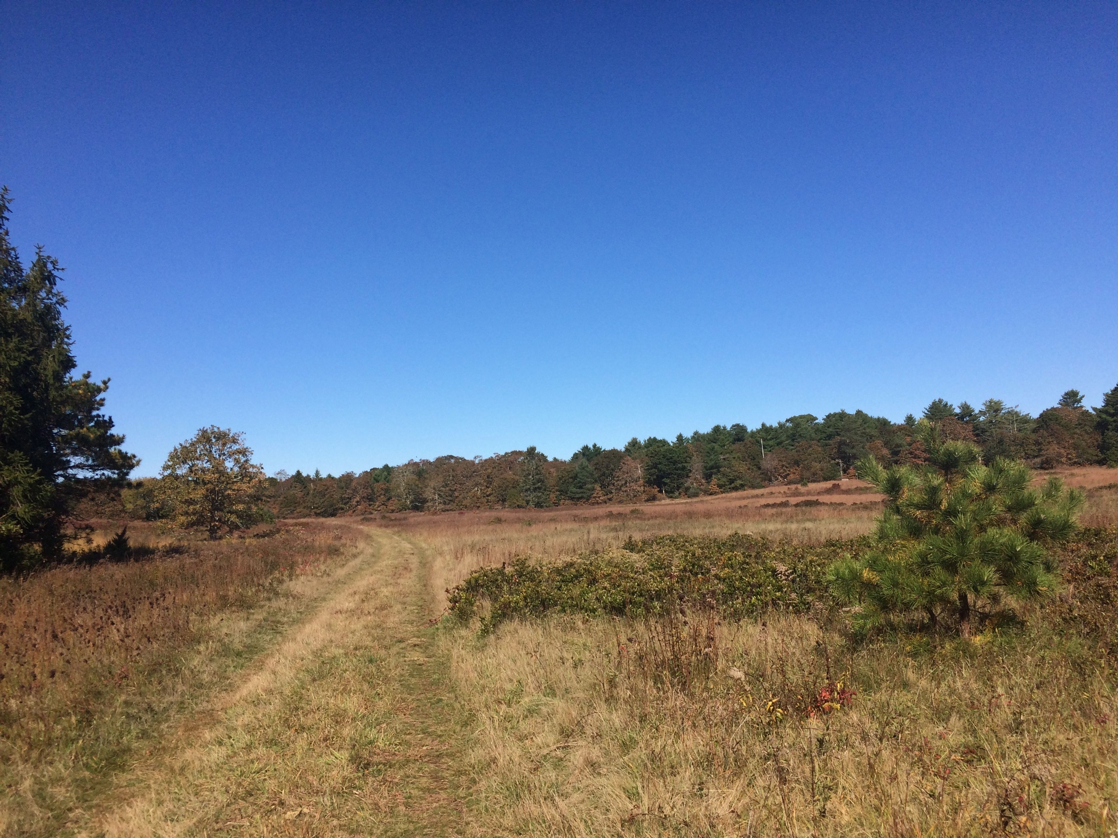 open field at north end