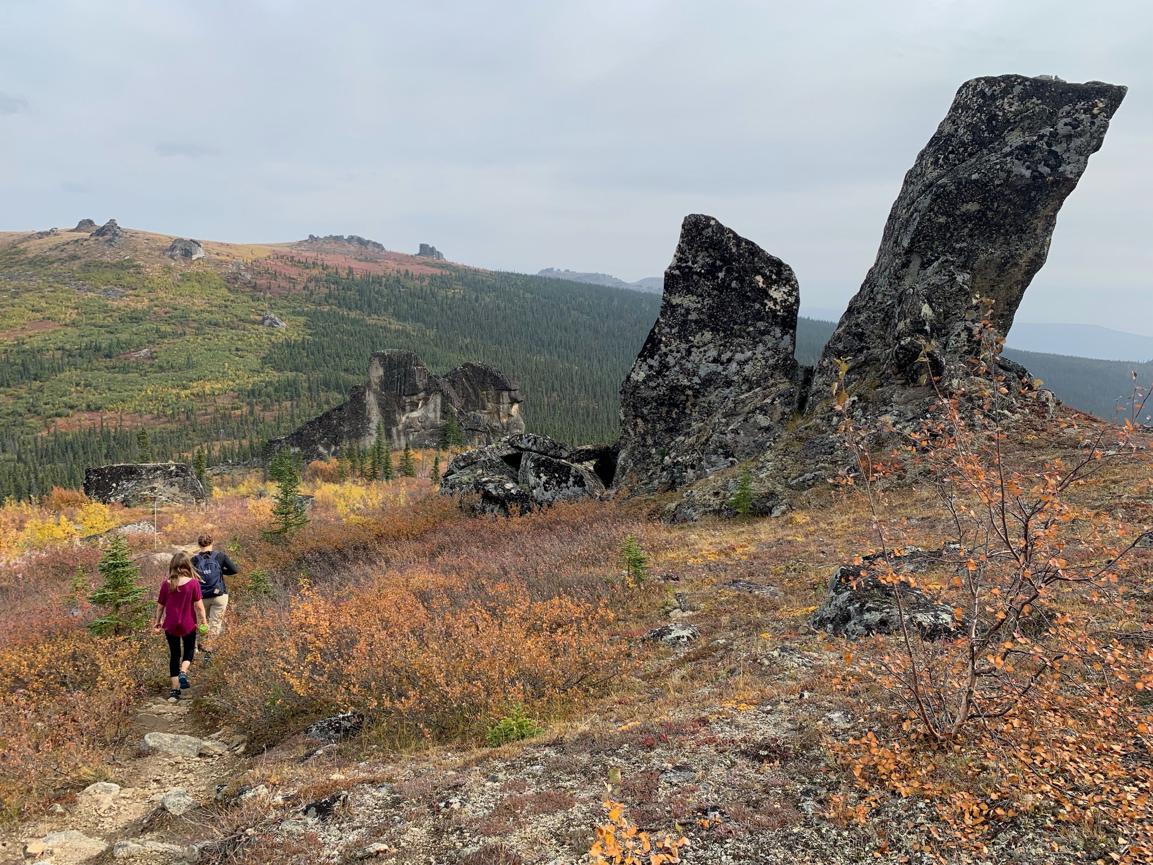 Granite_Tors_4.jpg