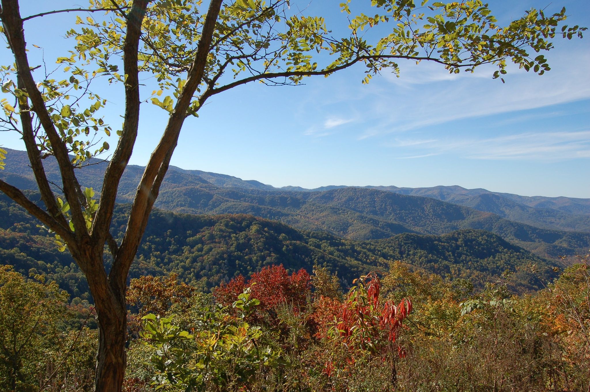 Cherokee National Forest - Areas - OuterSpatial