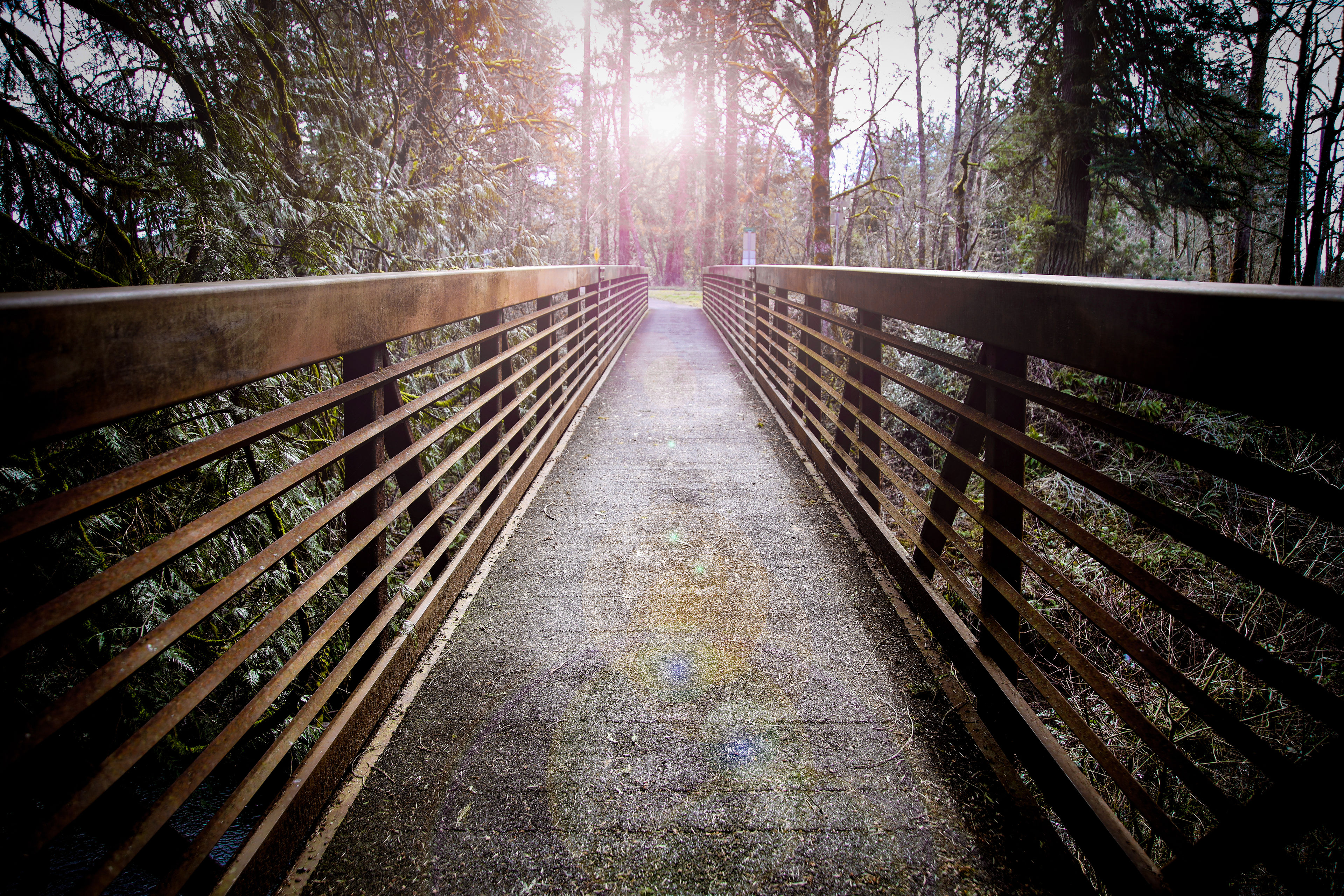 Bridge_at_Butler_Creek_E.jpg