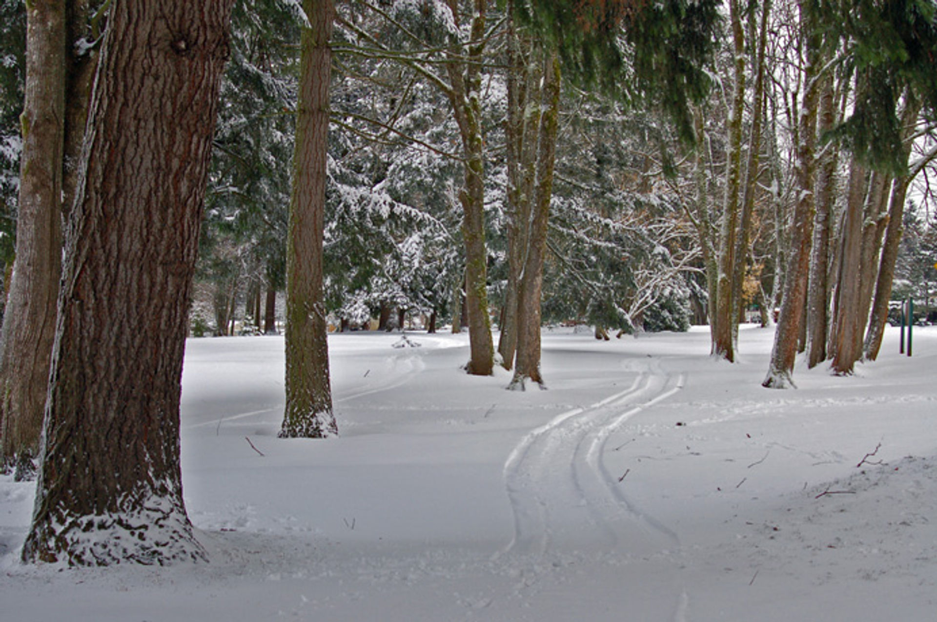 Columbia_View_Park_in_snow.JPG