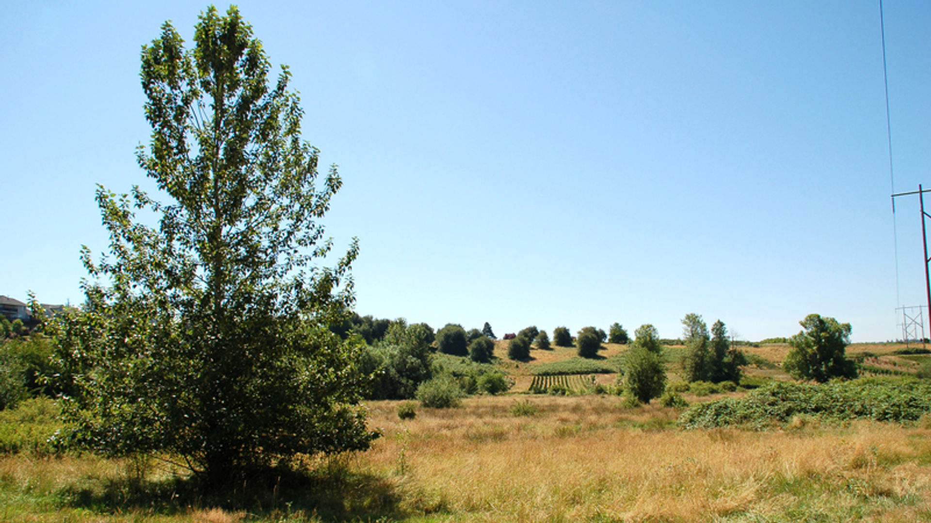 Gallery-Jenne-Butte-Neighborhood-undeveloped.jpg