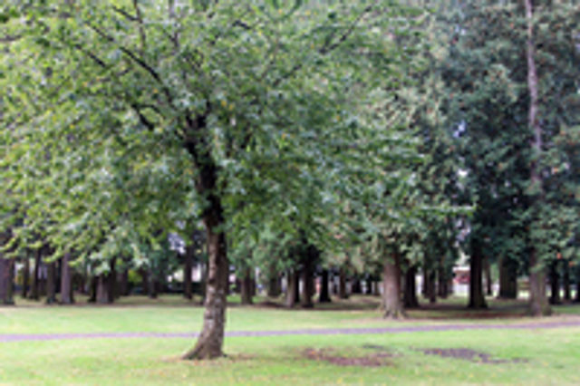 North_Gresham_Park001.jpg