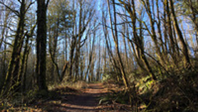 Gresham_Saddle_Butte_Trail.jpg