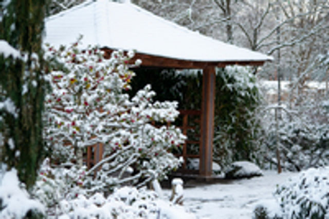 Tsuru_Island_Shelter_Snow_020519.jpg