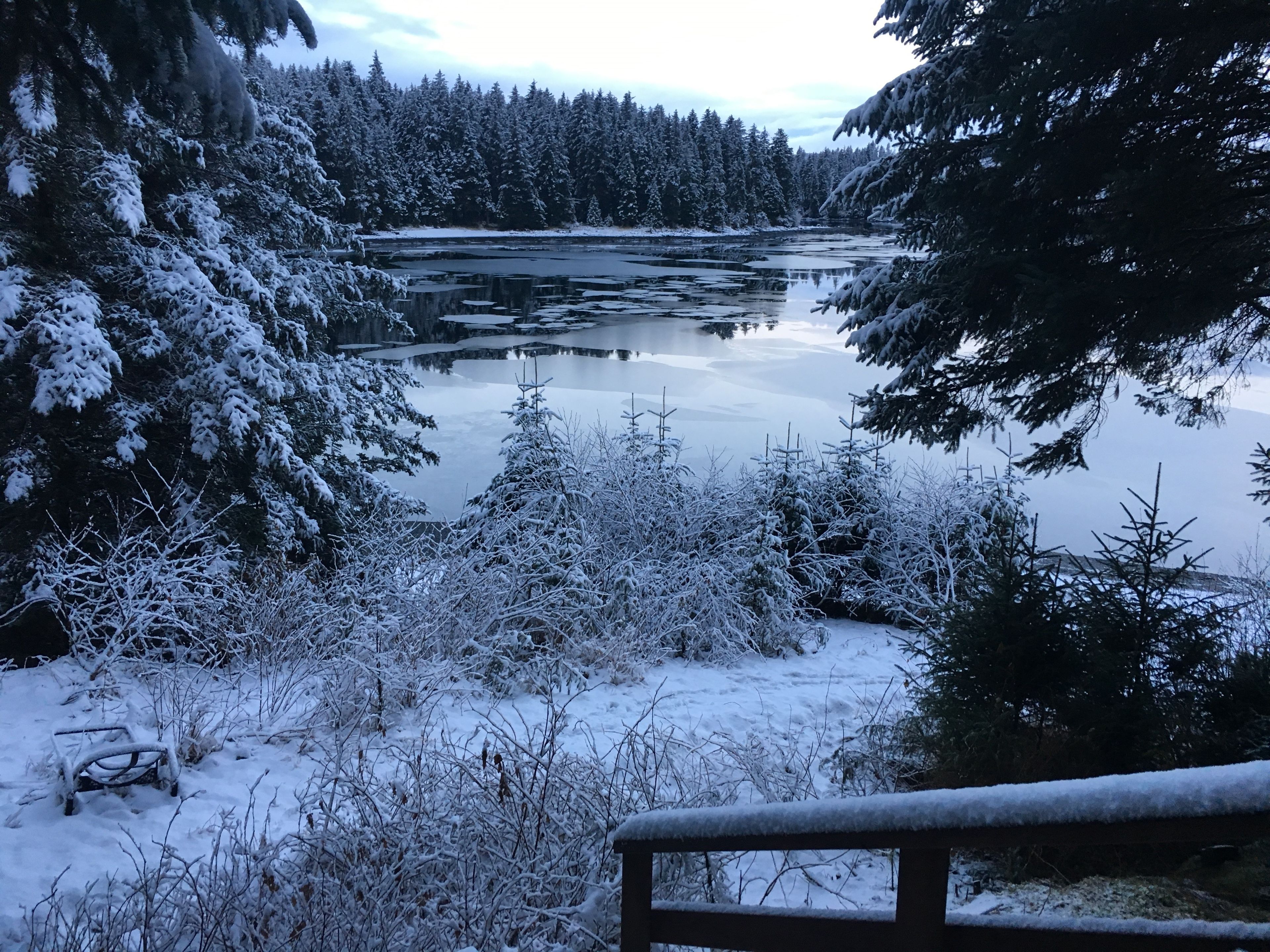 Afognak_Island_SP_Discoverer_Bay.jpg