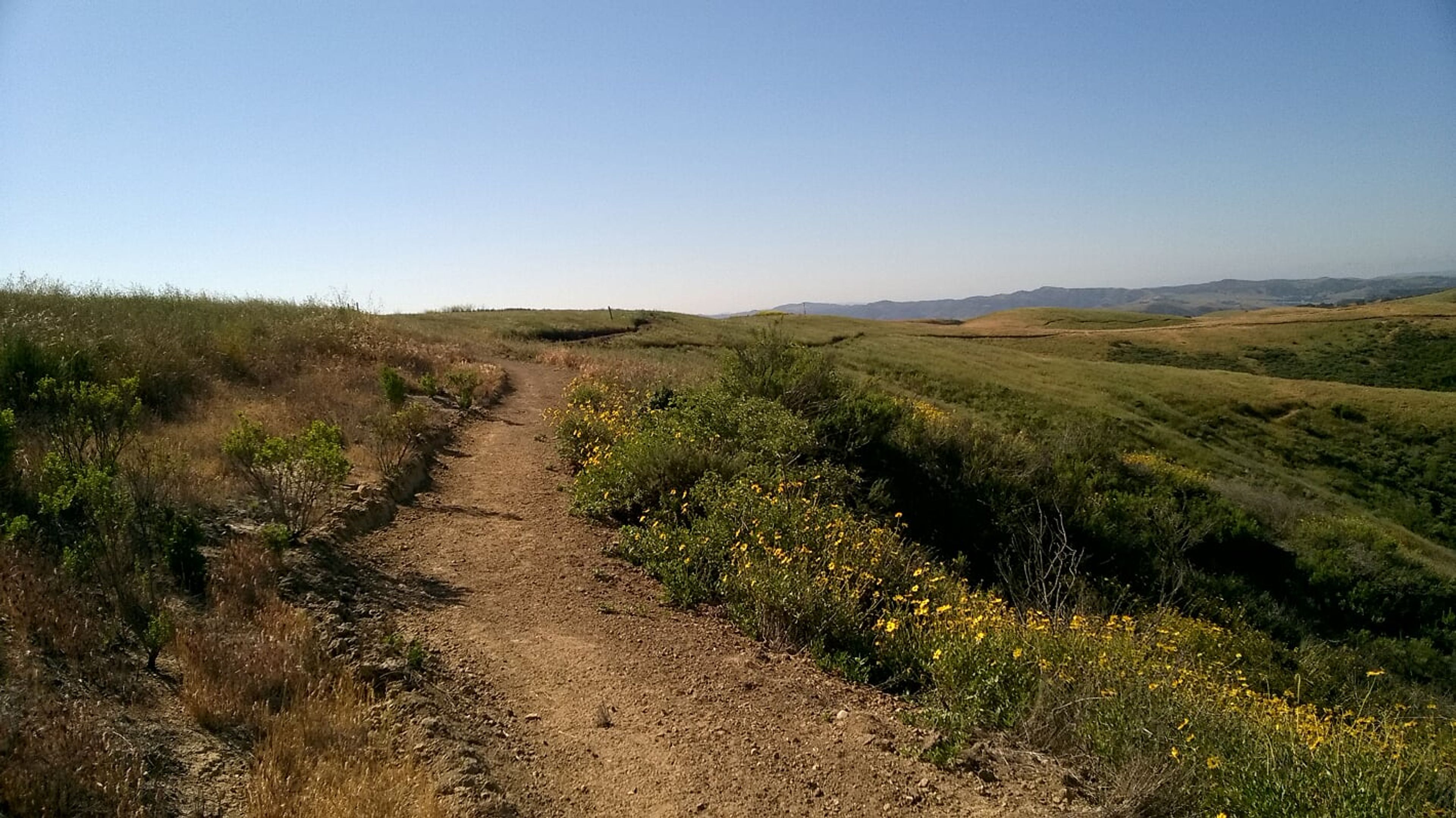 Observation to Cutoff Trail