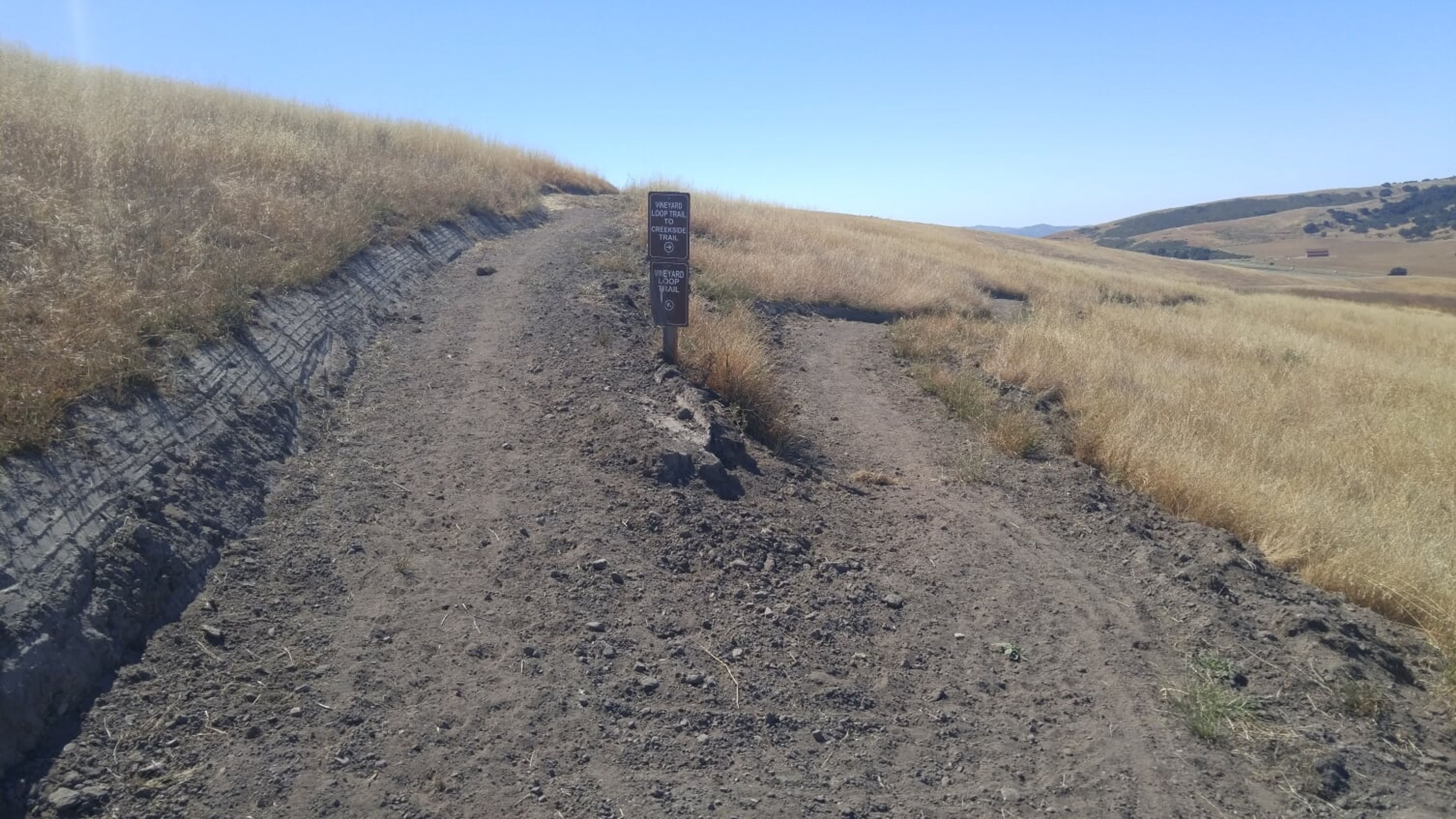 Vineyard loop junction sign at observation trail