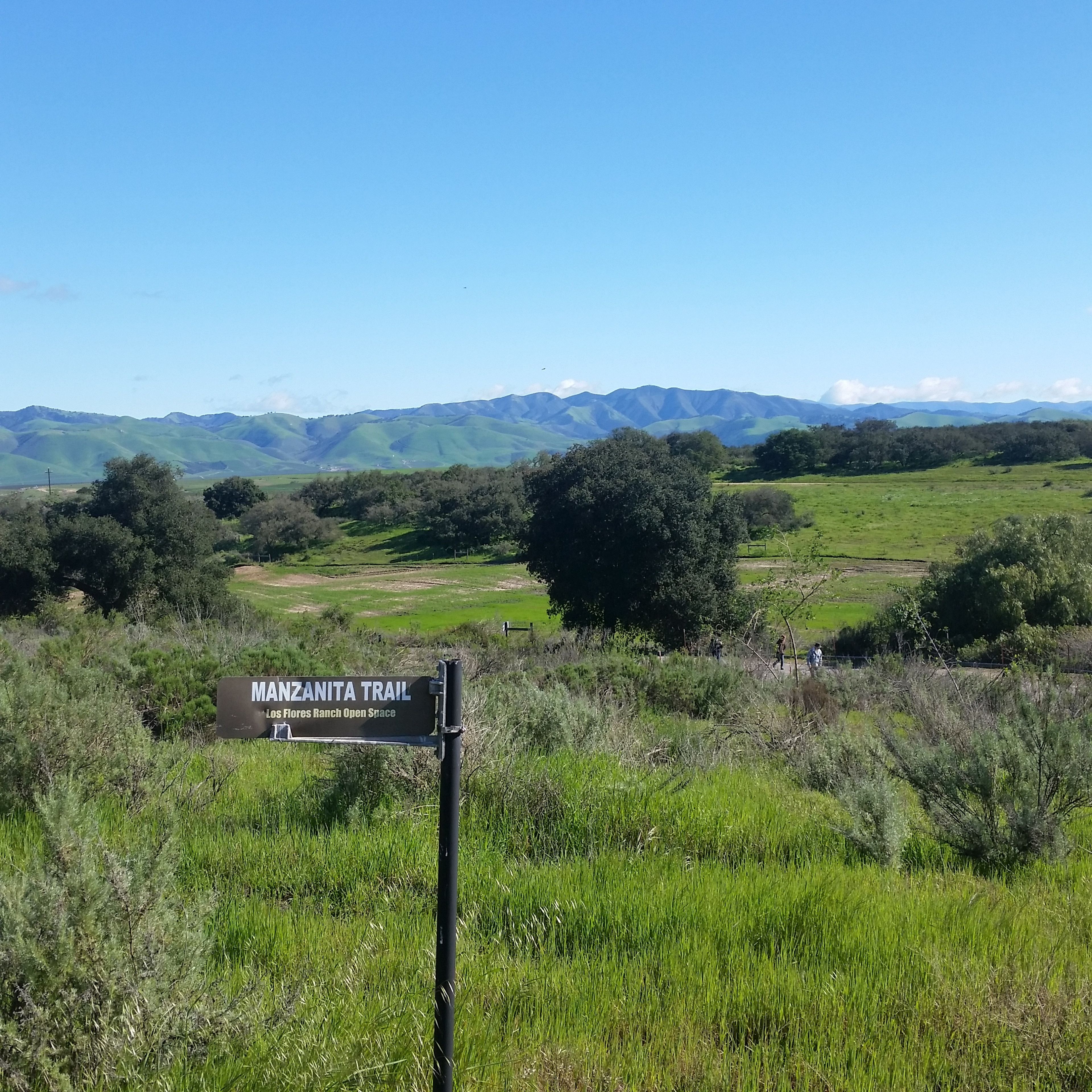 Lower Manzanita View