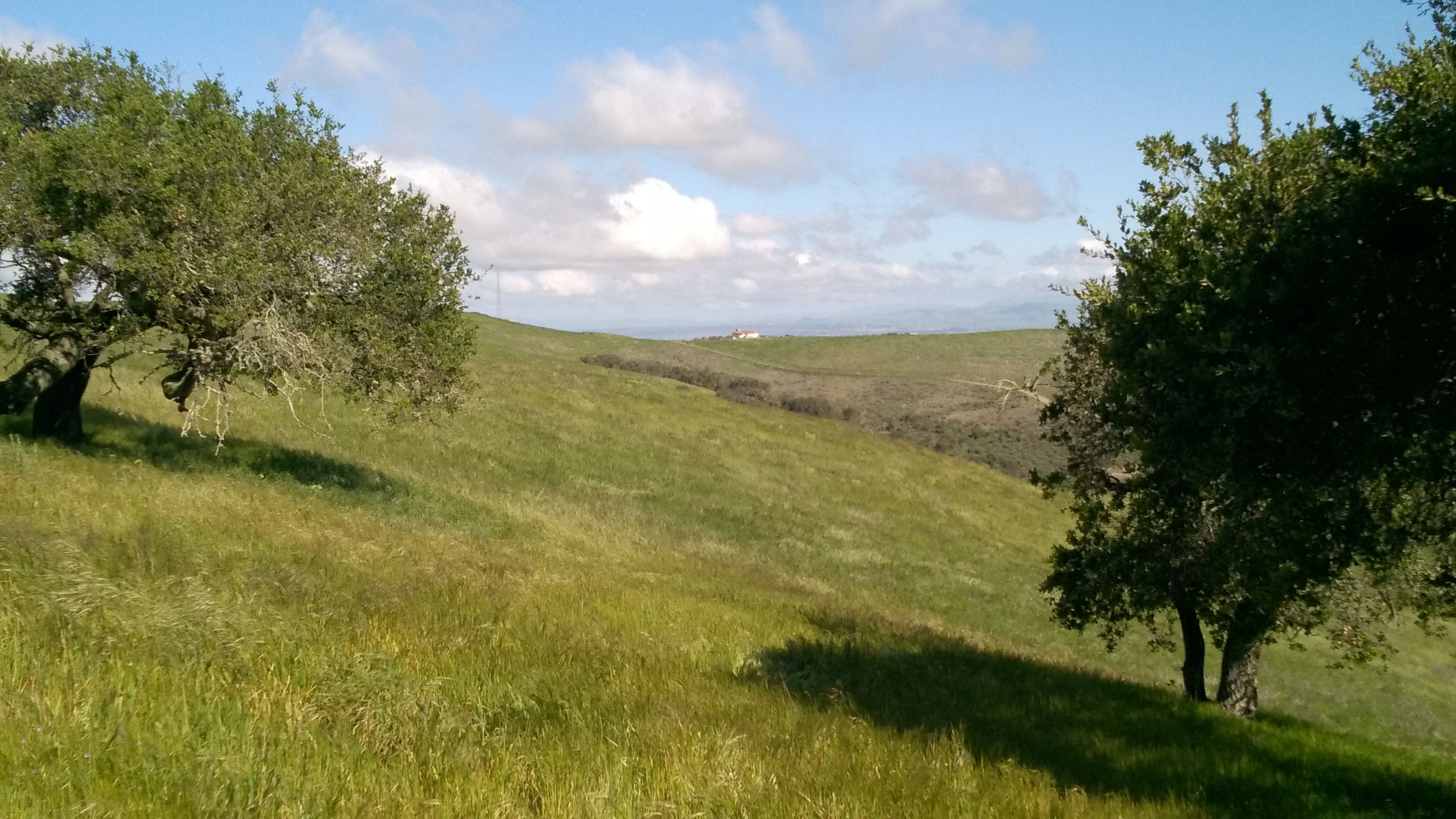 Rim Trail View