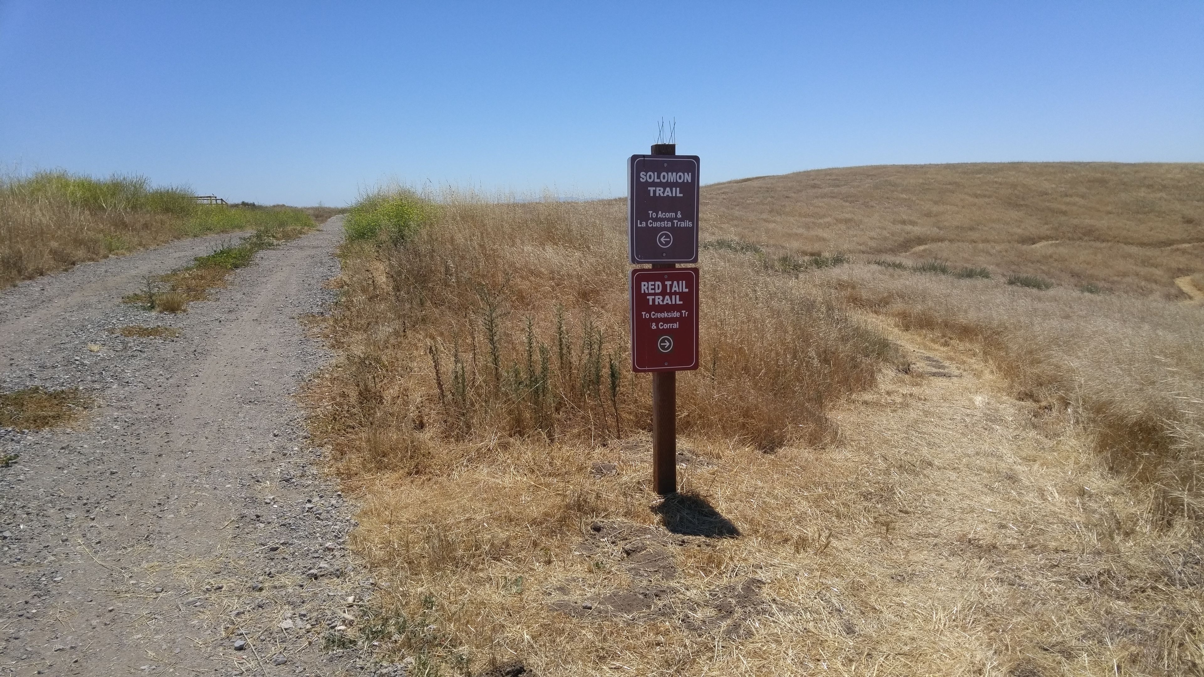 Solomon Trail & Redtail Trail 
