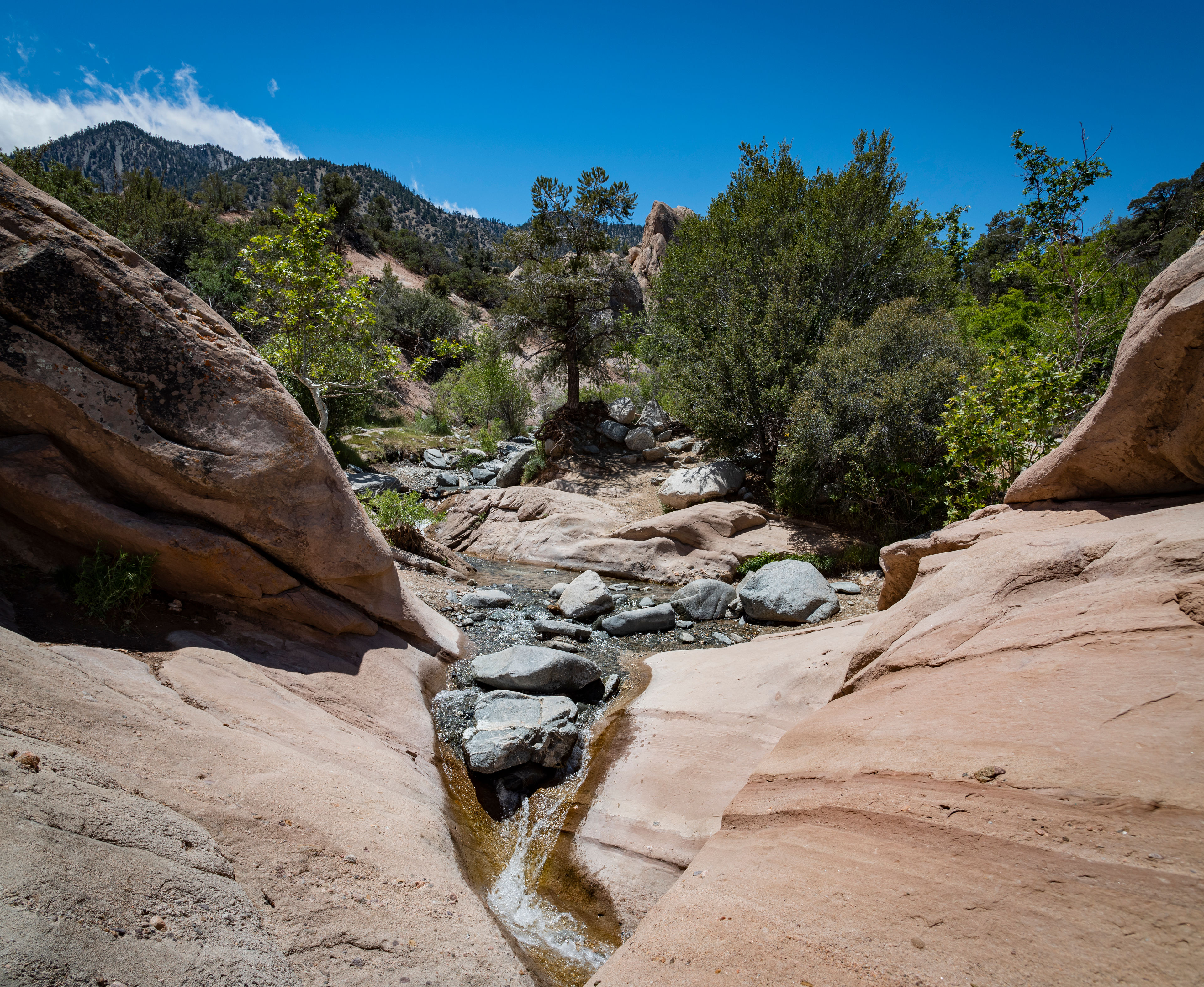 TReilly_20190521_DSC7731-Pano.jpg