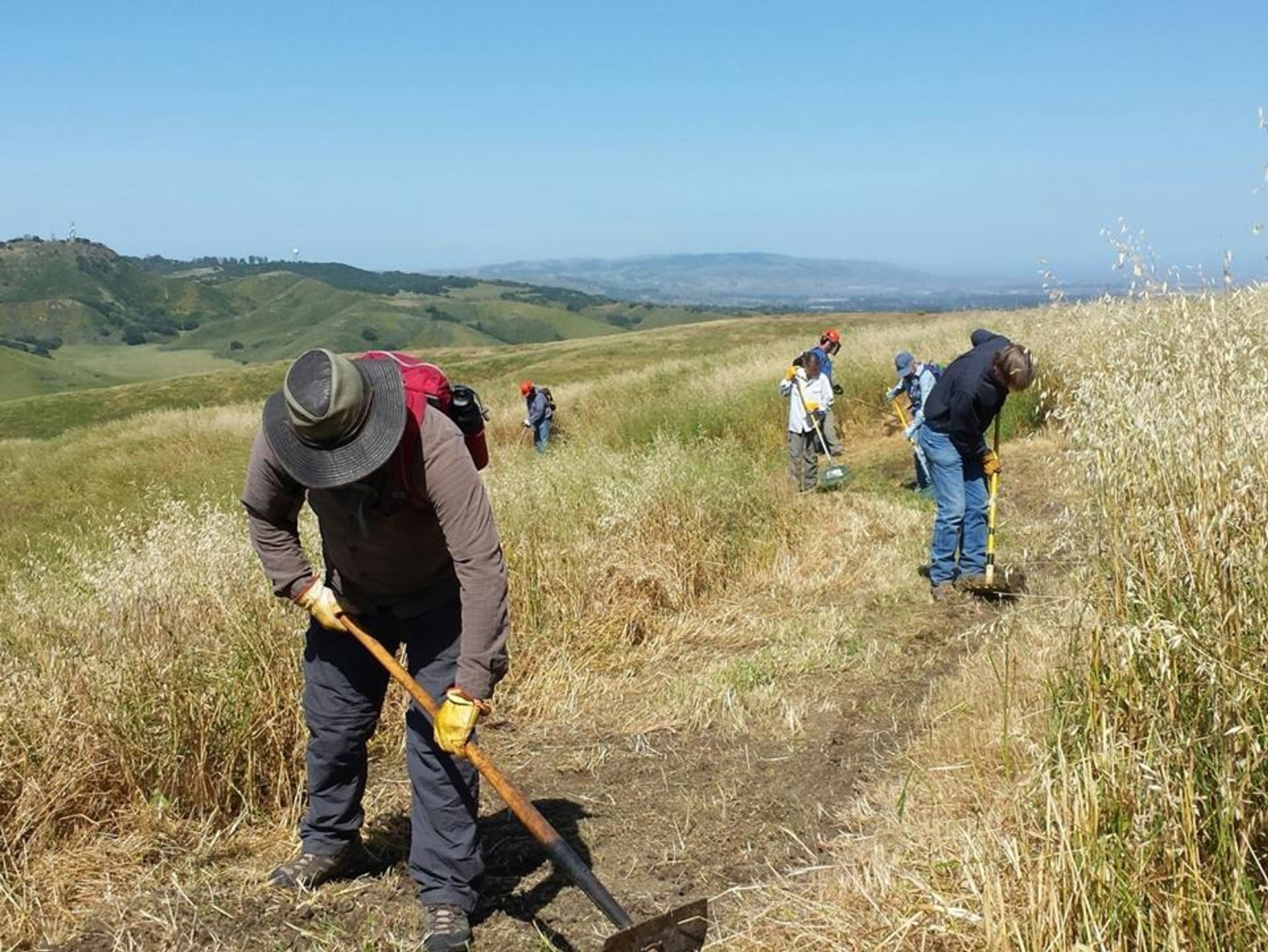 Trailwork Observation Trail