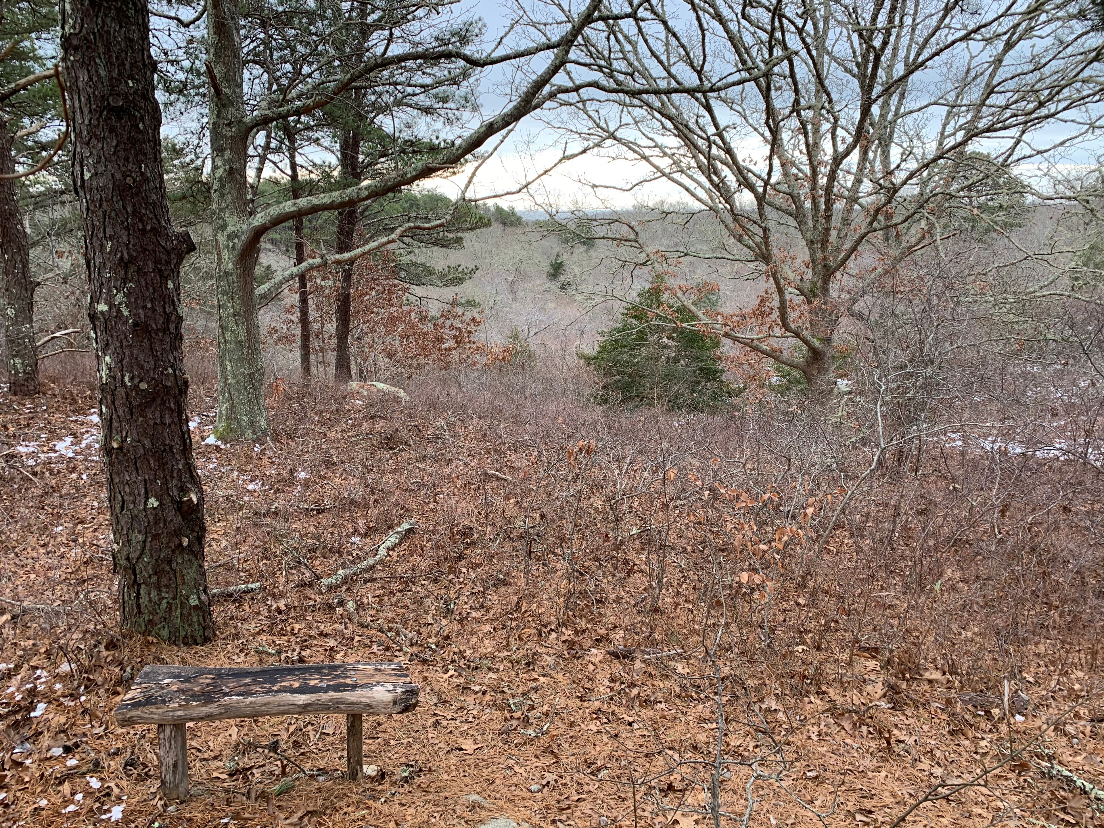 bench in winter