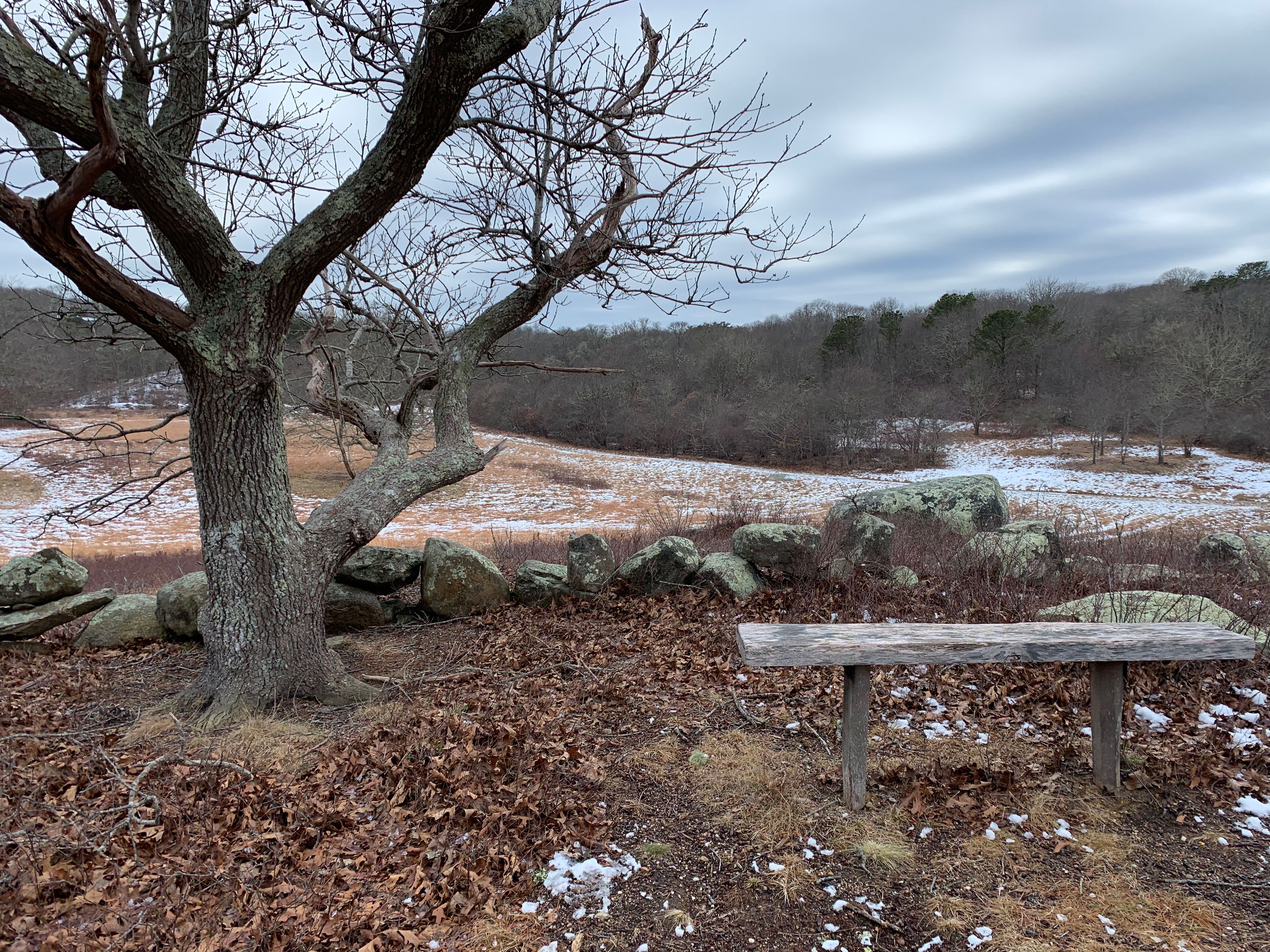 bench and view in winter