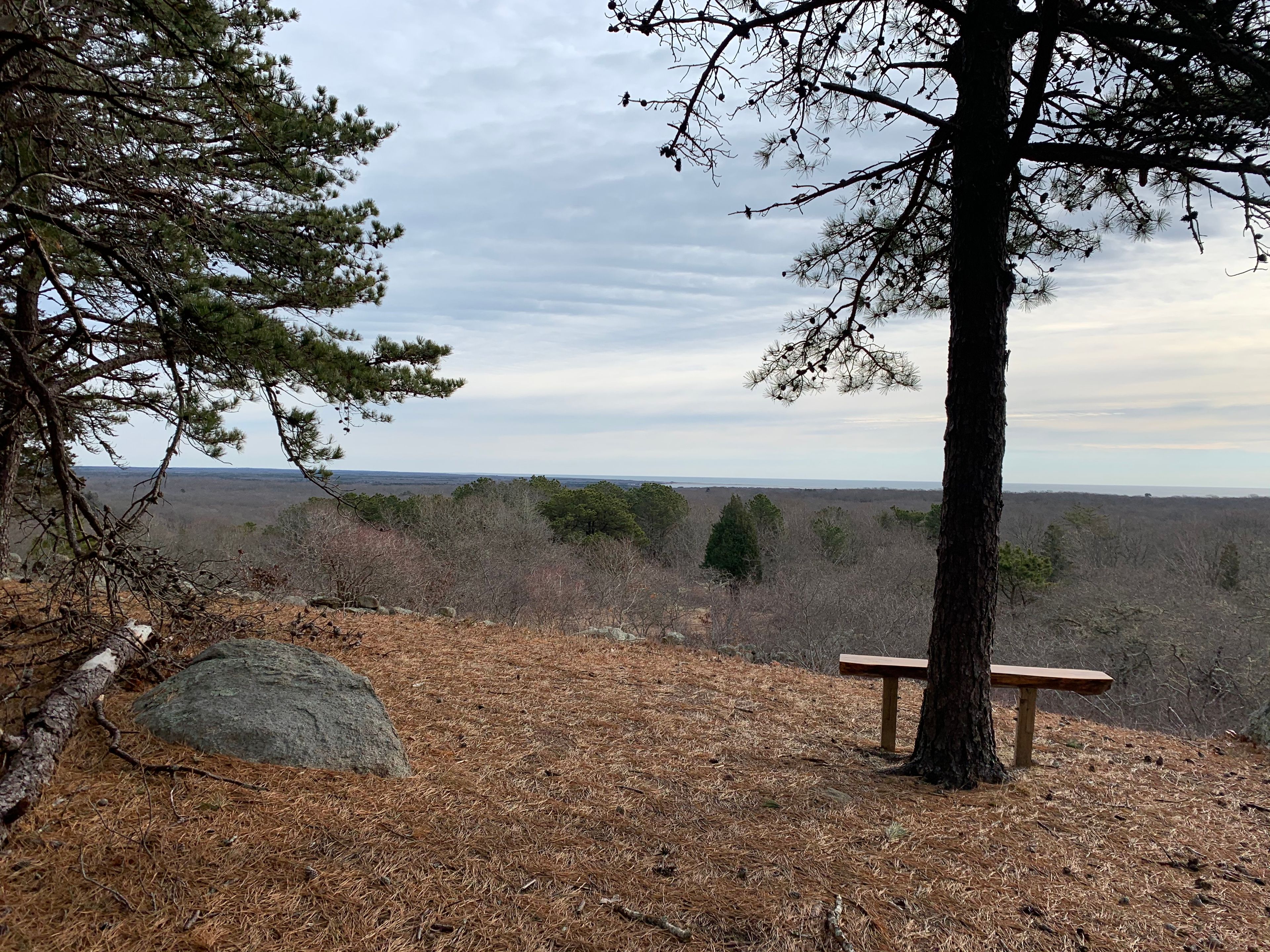 bench and view in winter