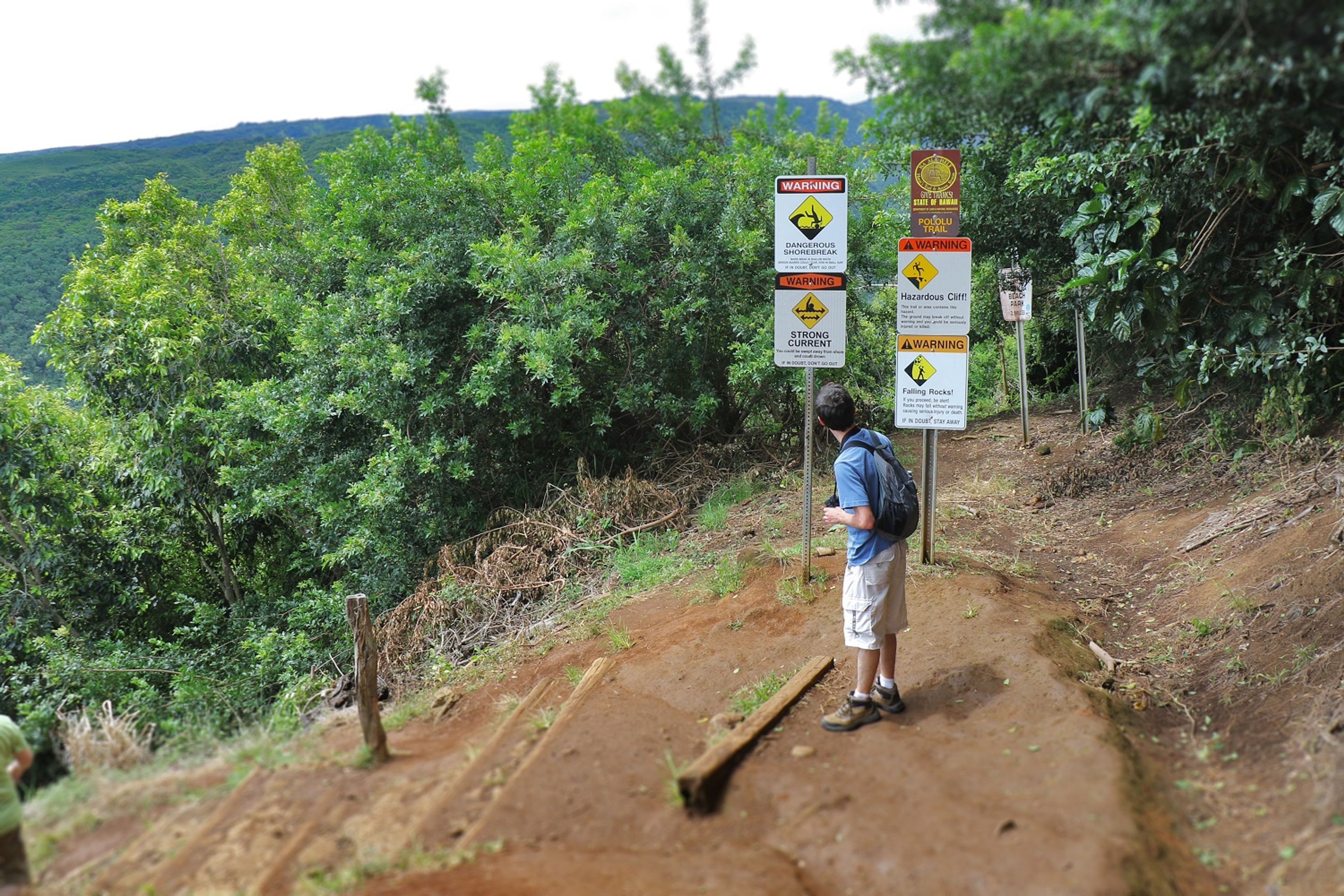 A hiker reads the important information displayed at the trail head.