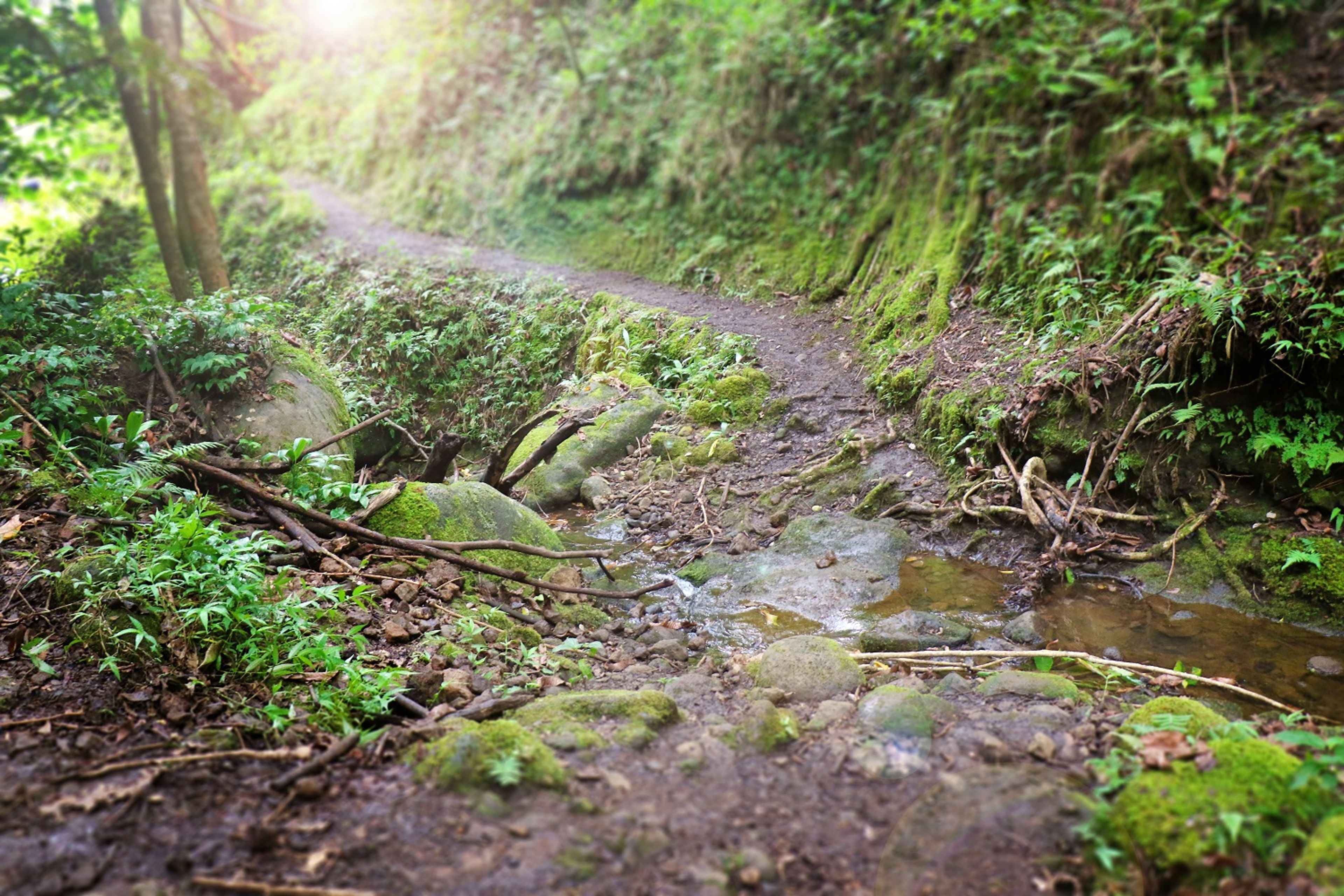 Hikers should be careful when crossing the many streams.