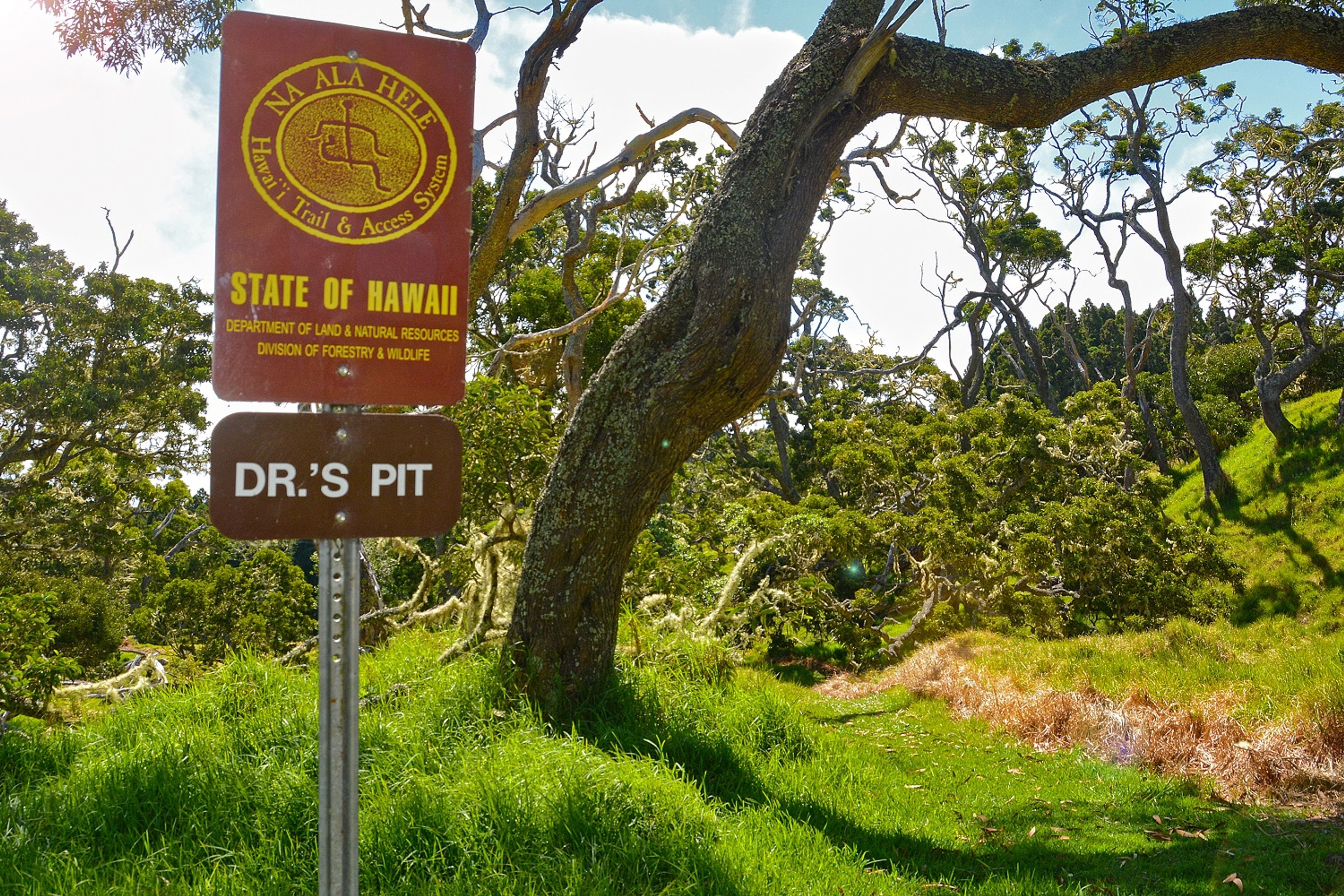 Trail head at parking area off Mānā Road.