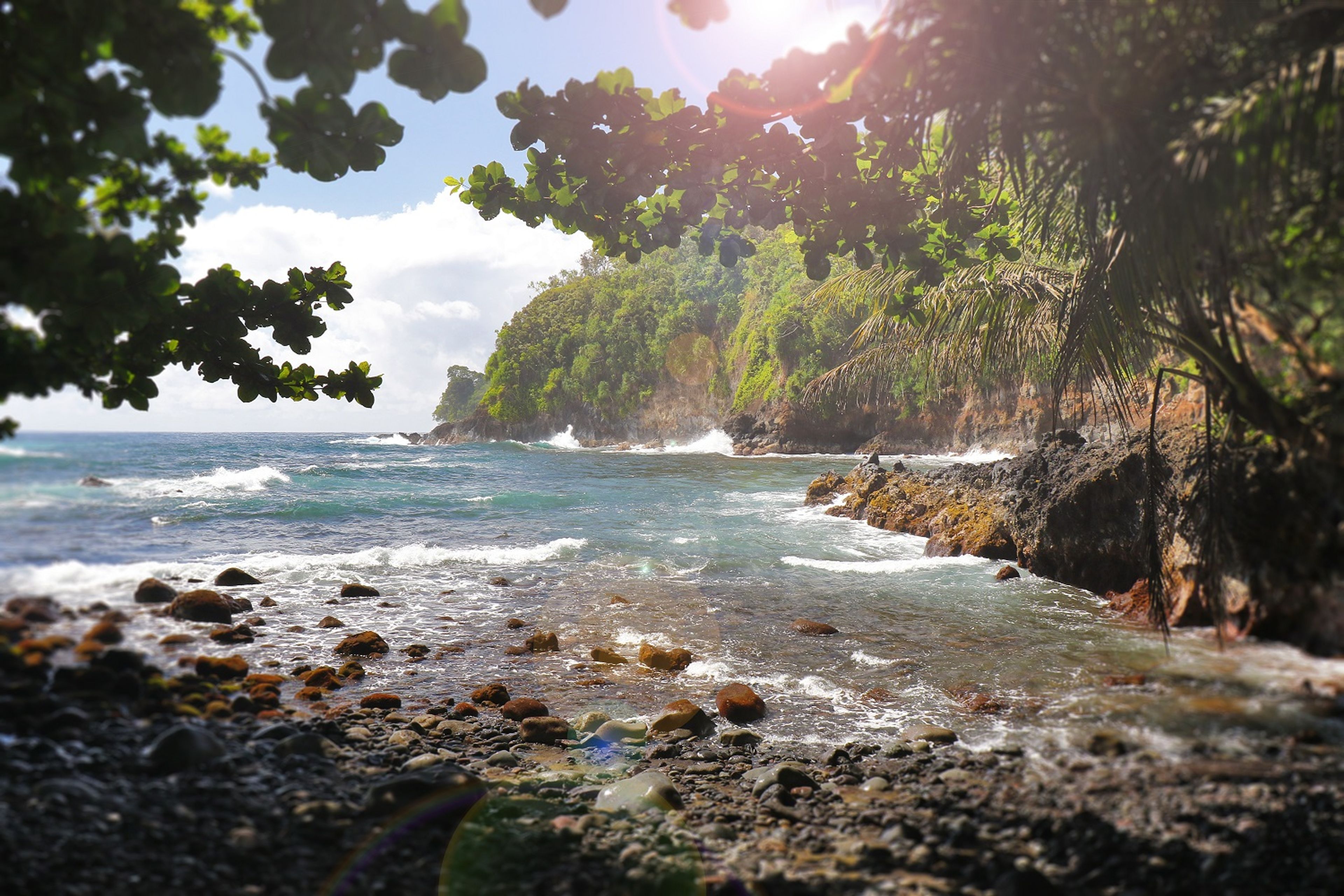 Kukilu Bay provides a shady spot to rest.