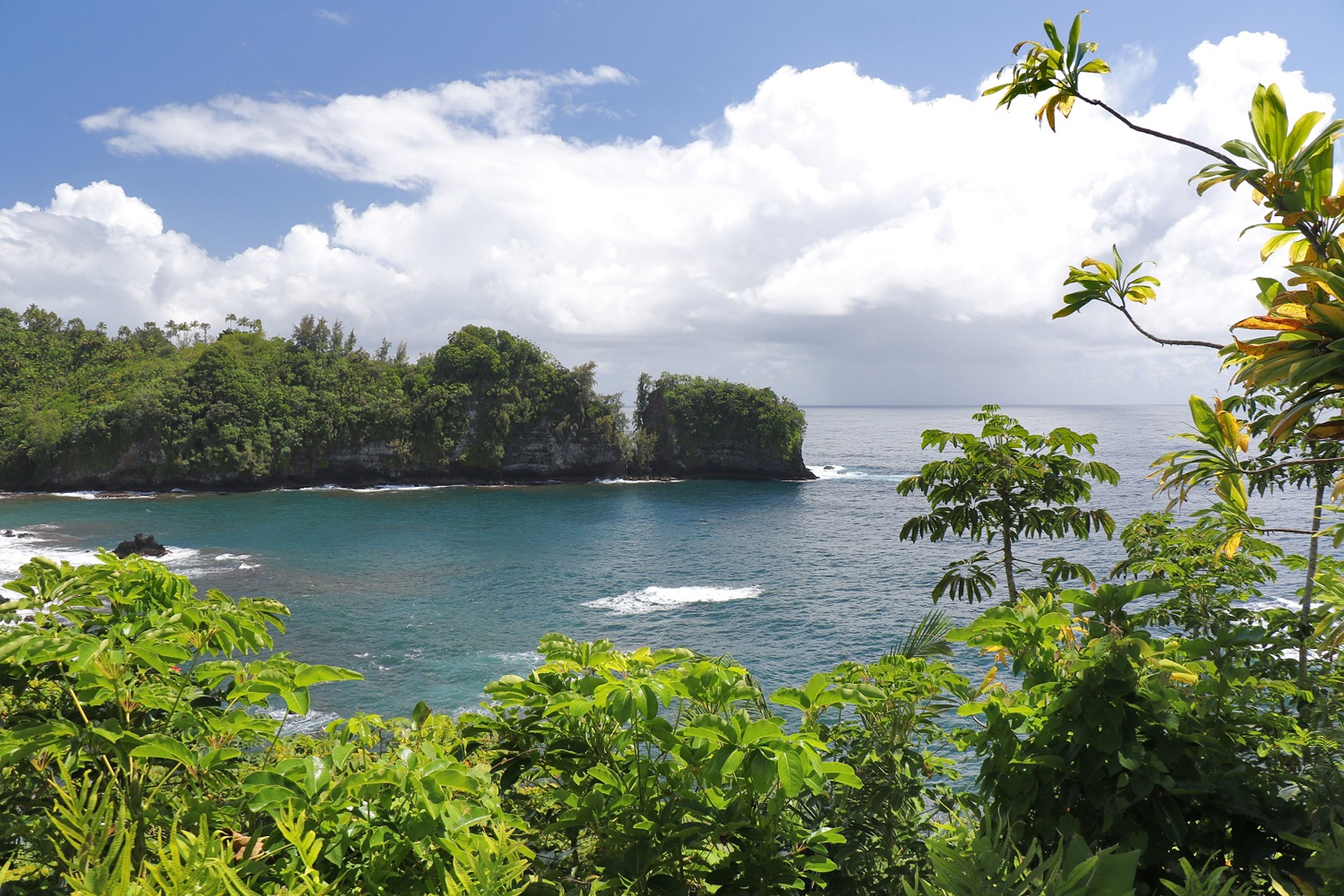 View of Onomea Bay from the Onomea Trail Head.