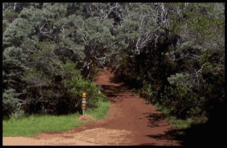 Milolii Ridge Trailhead