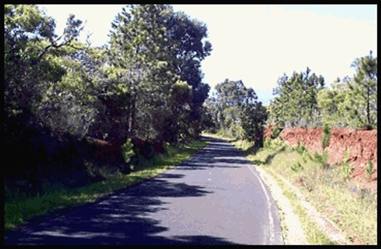 Makaha Road