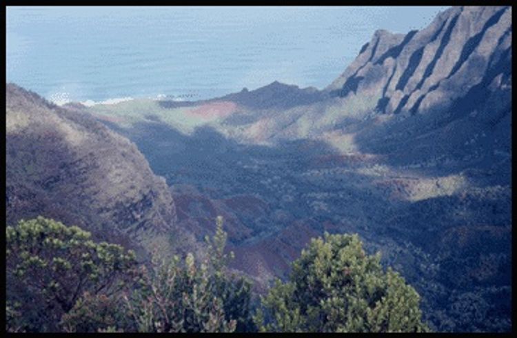 Ocean view along Pihea Trail