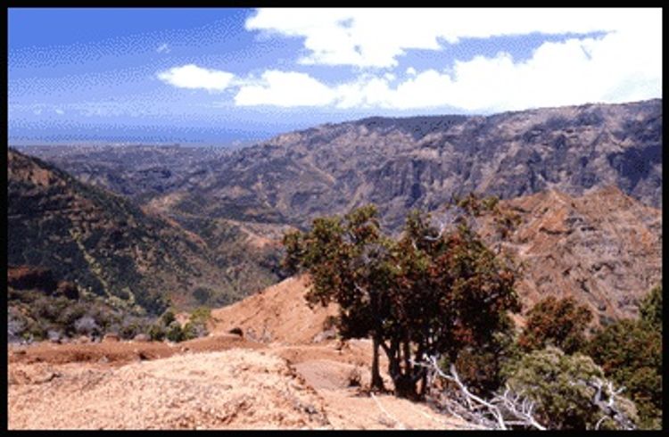 Viewpoint from Kohua Ridge Trail