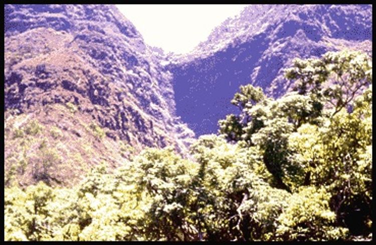 Viewpoint at Koaie Canyon Trail