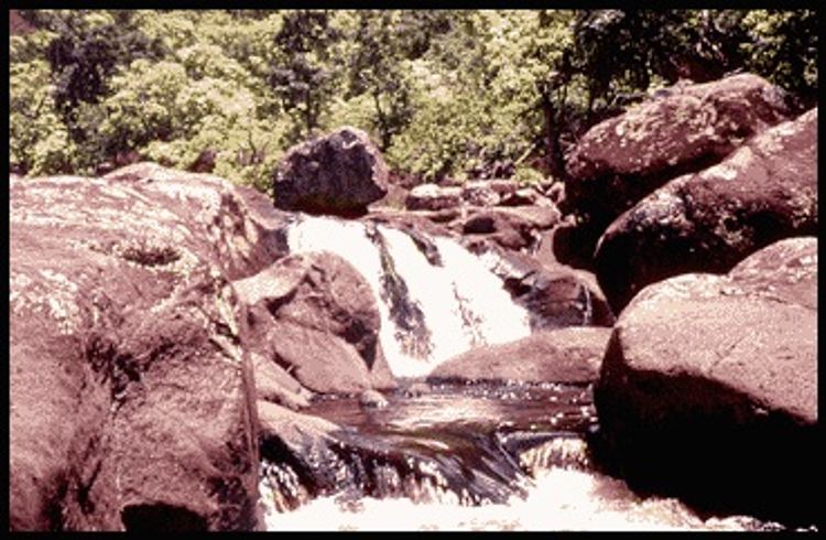 Stream at Koaie Canyon Trail