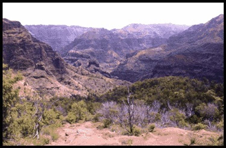 Viewpoint along Kukui Trail