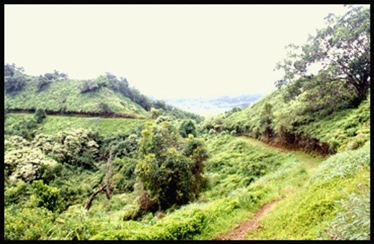 Scenic viewpoint on Kuilau Trail