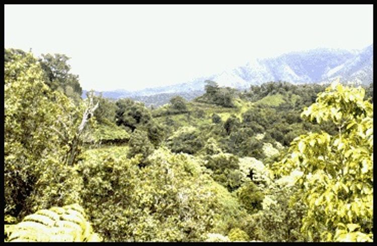 Beautiful view on Kuilau Trail