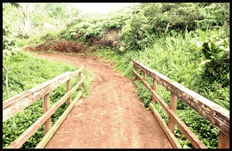 Bridge at  Moalepe Trail