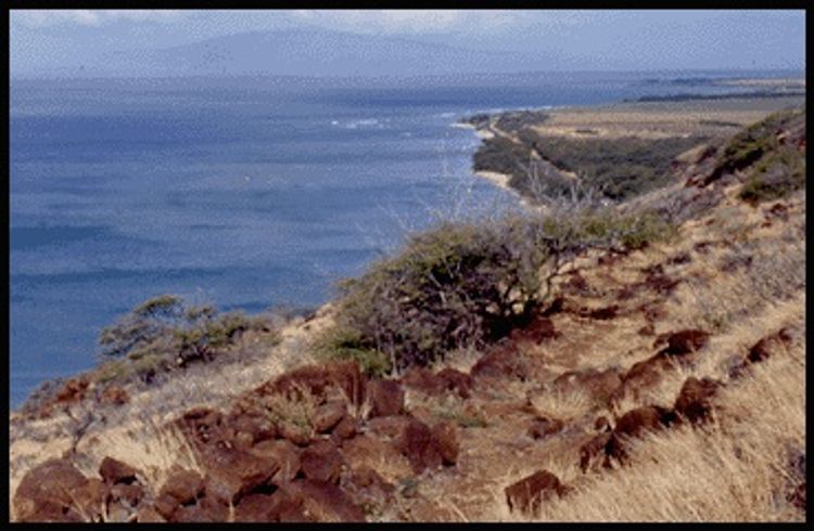 Ocean views from Lahaina Pali Trail