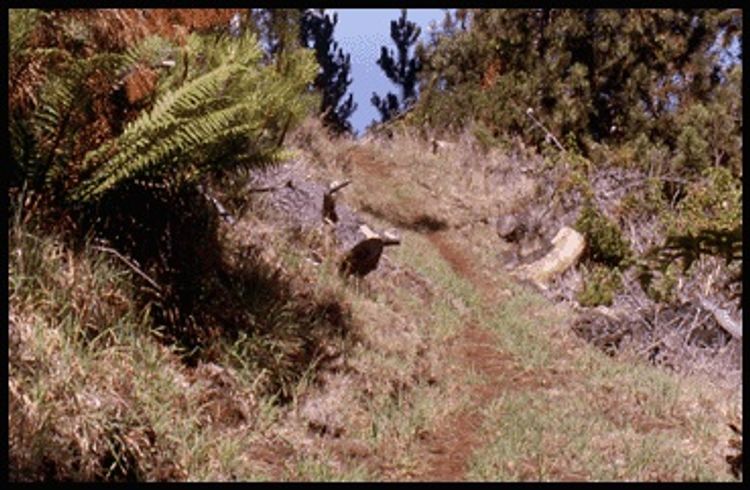 Hike along Boundary Trail