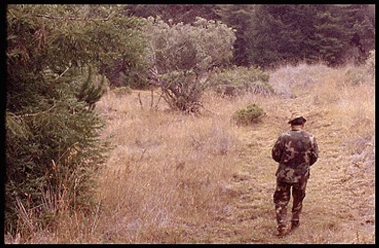 Caution! The Lower Waiohuli Trail lies within a hunting area.