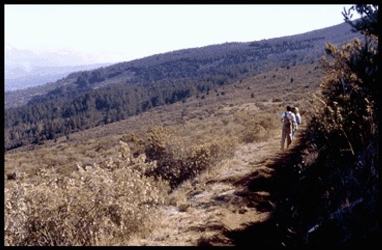 Large open views on Mamane Trail