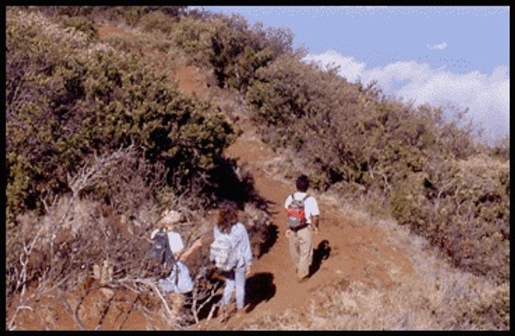 Scenic views along Mamane Trail