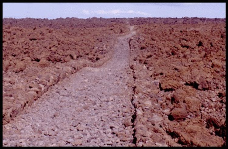 Rugged, coastal terrain