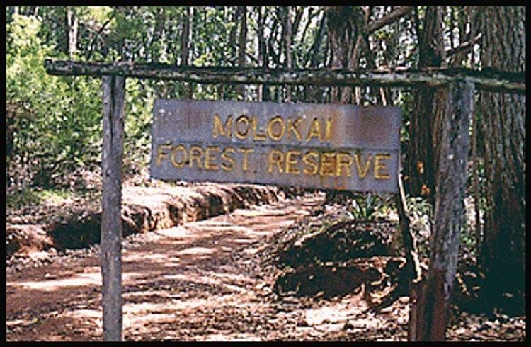 Molokai Forest Reserve