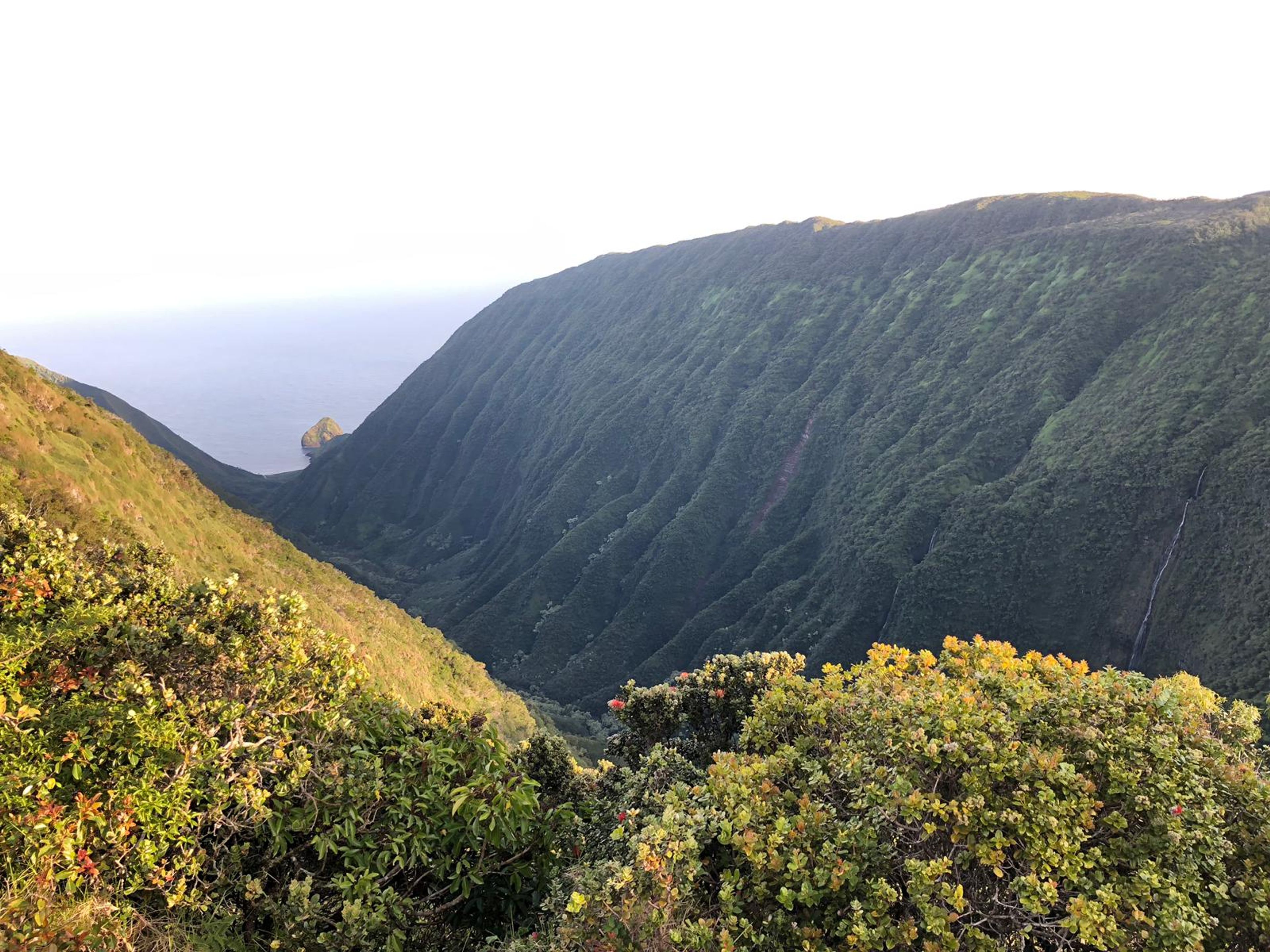 Scenic viewpoint from Maunahui Access Road.  Photo: Luke Wassermann